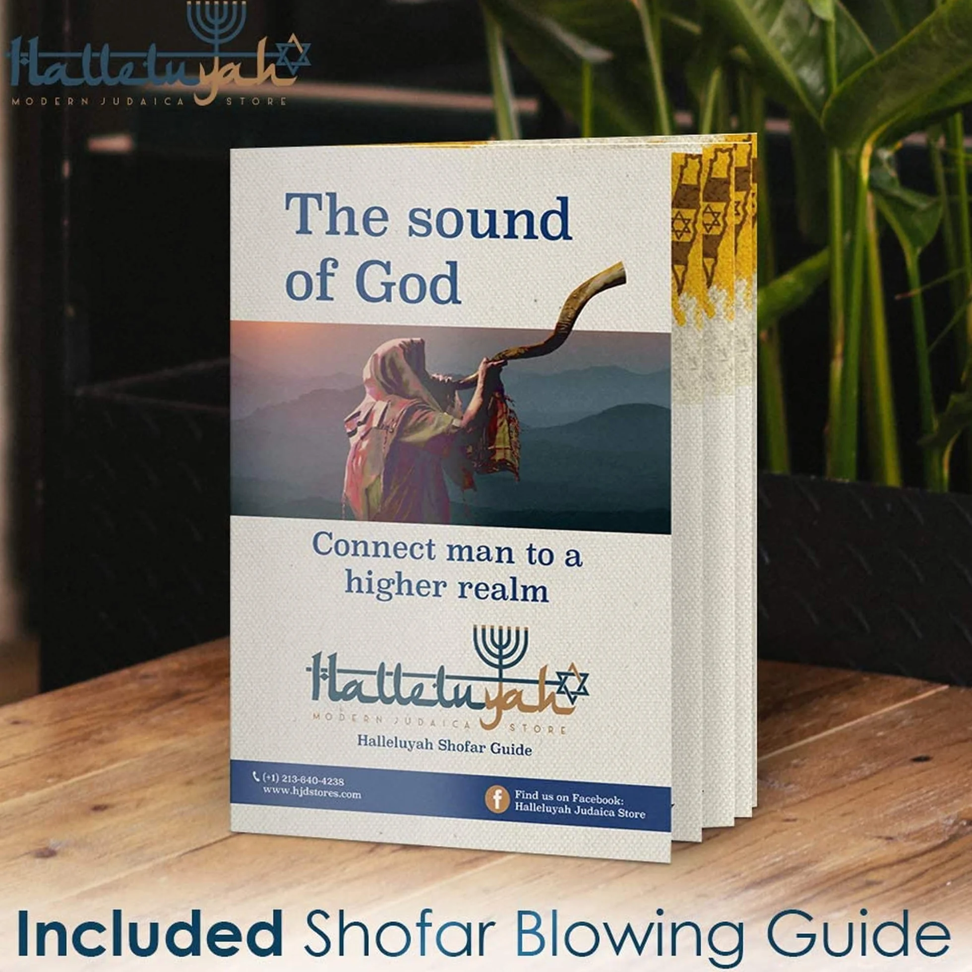 HalleluYAH Shofar kudu yemenita de Israel más cuerno de carnero gratis