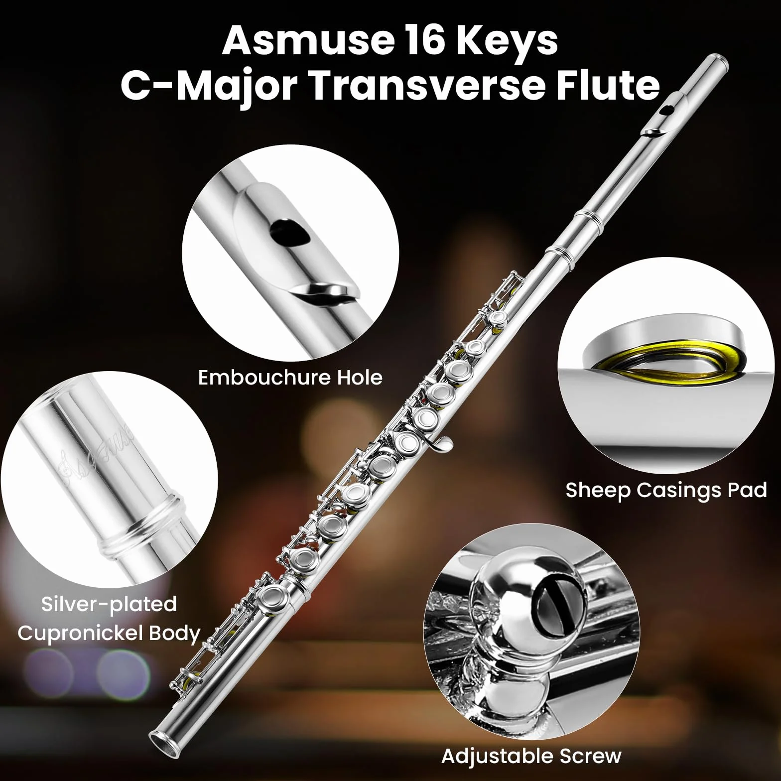 Asmuse Flauta Travesera Plateada 16 Agujeros Cerrados C clave Flauta Escolar con Estuche, Paño de Limpieza y Guantes para Principiantes y Profesionales