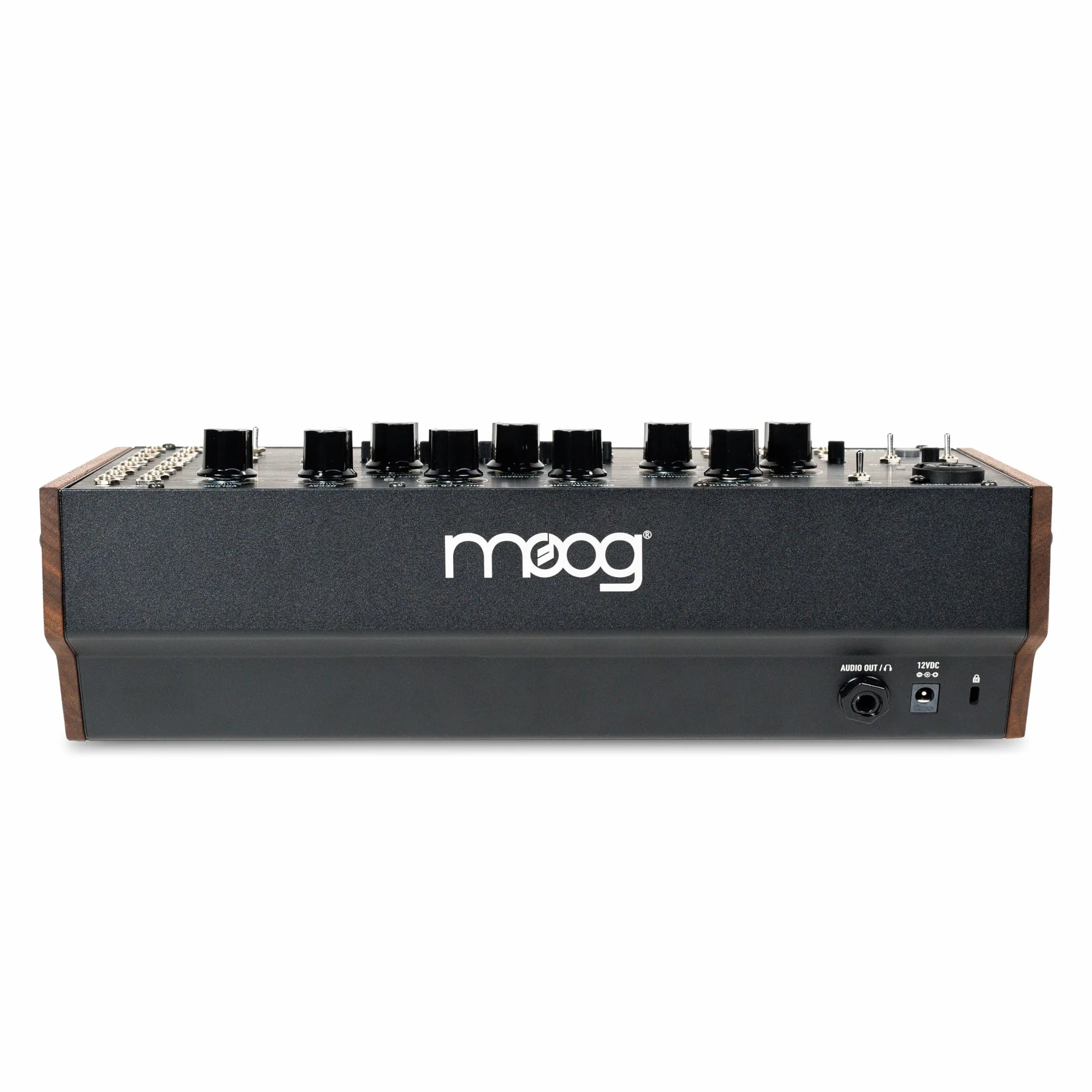 MOOG Spectravox - Procesador Espectral Analógico Semimodular con Banco de Filtros CV/Vocoder, Oscilador Controlado por Voltaje y Salida de Auriculares