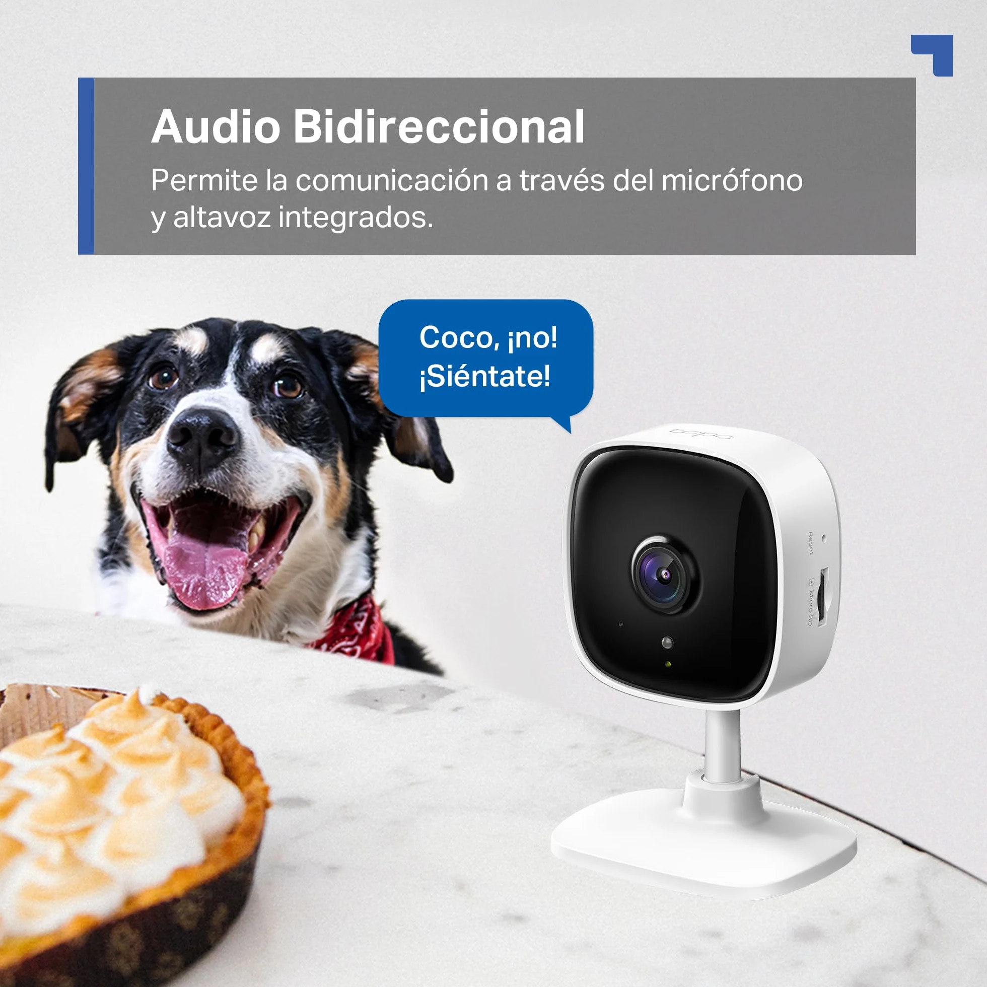 Tapo Cámara de vigilancia Wi-Fi Interior 1080P visión nocturna detección movimiento audio bidireccional almacenamiento SD compatible Alexa Blanco
