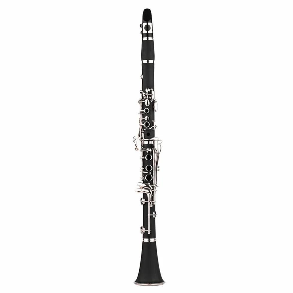 Clarinete ABS 17 llaves bB, clarinete binocular plano de soprano, incluye paños de limpieza y guantes, 10 cañas con estuche, destornillador, instrumento de viento de madera