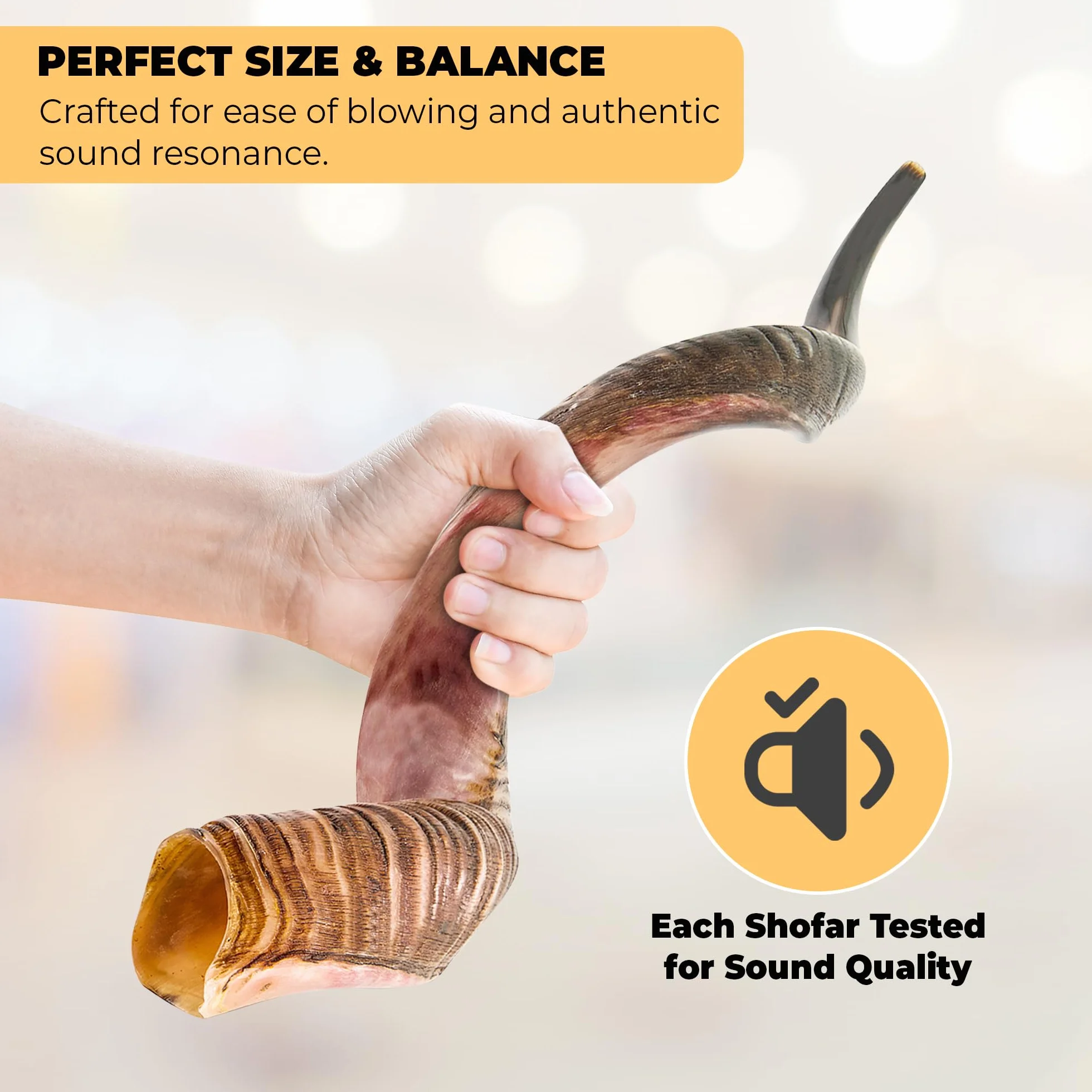 Kudu Shofar | Shofar | Kosher de Israel | 38-48 cm