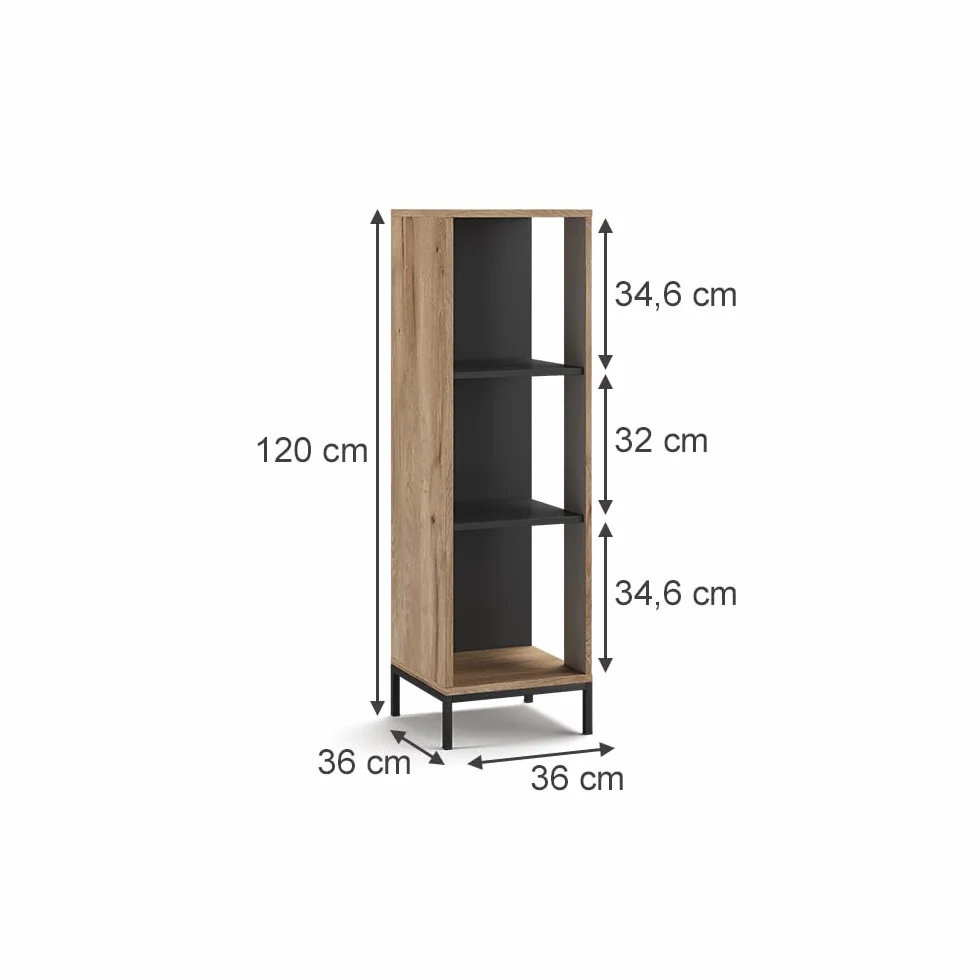 Vicco Estante para CDs Eliza, Roble Vikingo, 36 x 120 cm con 3 Compartimentos, Apto para Guardar Libros y Objetos Decorativos