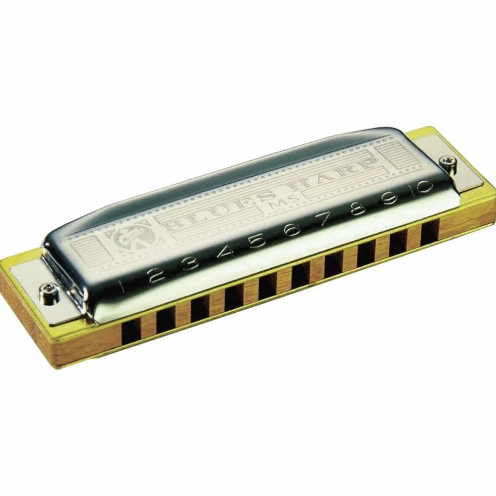 Hohner M533016 - Armónica en Do Mayor (acero inoxidable), color azul