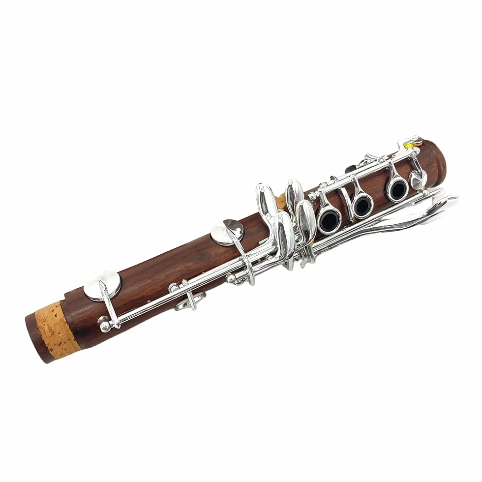 Clarinete de palisandro Bb con teclas plateadas, estuche duro y kit de cuidado con tono rico - Opción asequible para principiantes y estudiantes intermedios, óptima para entrenamiento de