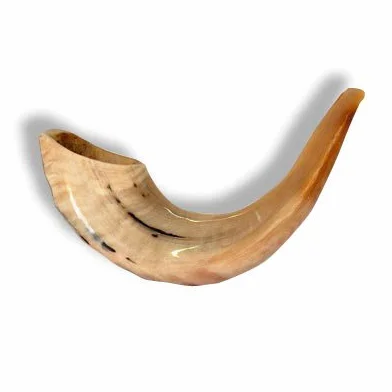 Shofar Kosher Rams cuerno Instrumento Natural Shoffar Shophar schofar Judaica Regalo Rosh hashanah judío
