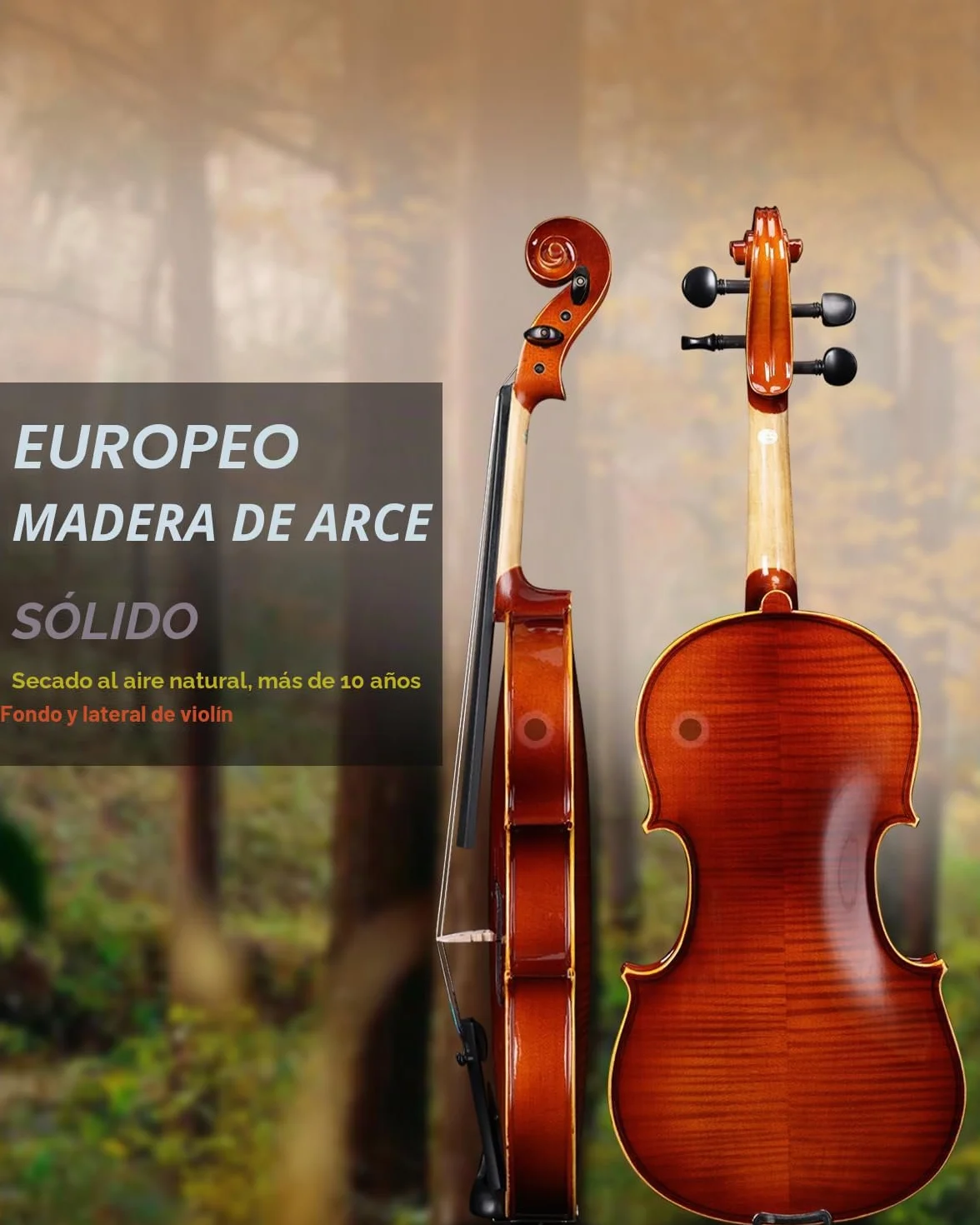 Violín 4/4 de tamaño completo para estudiantes, adultos, violín de abeto europeo sólido con soporte para partituras