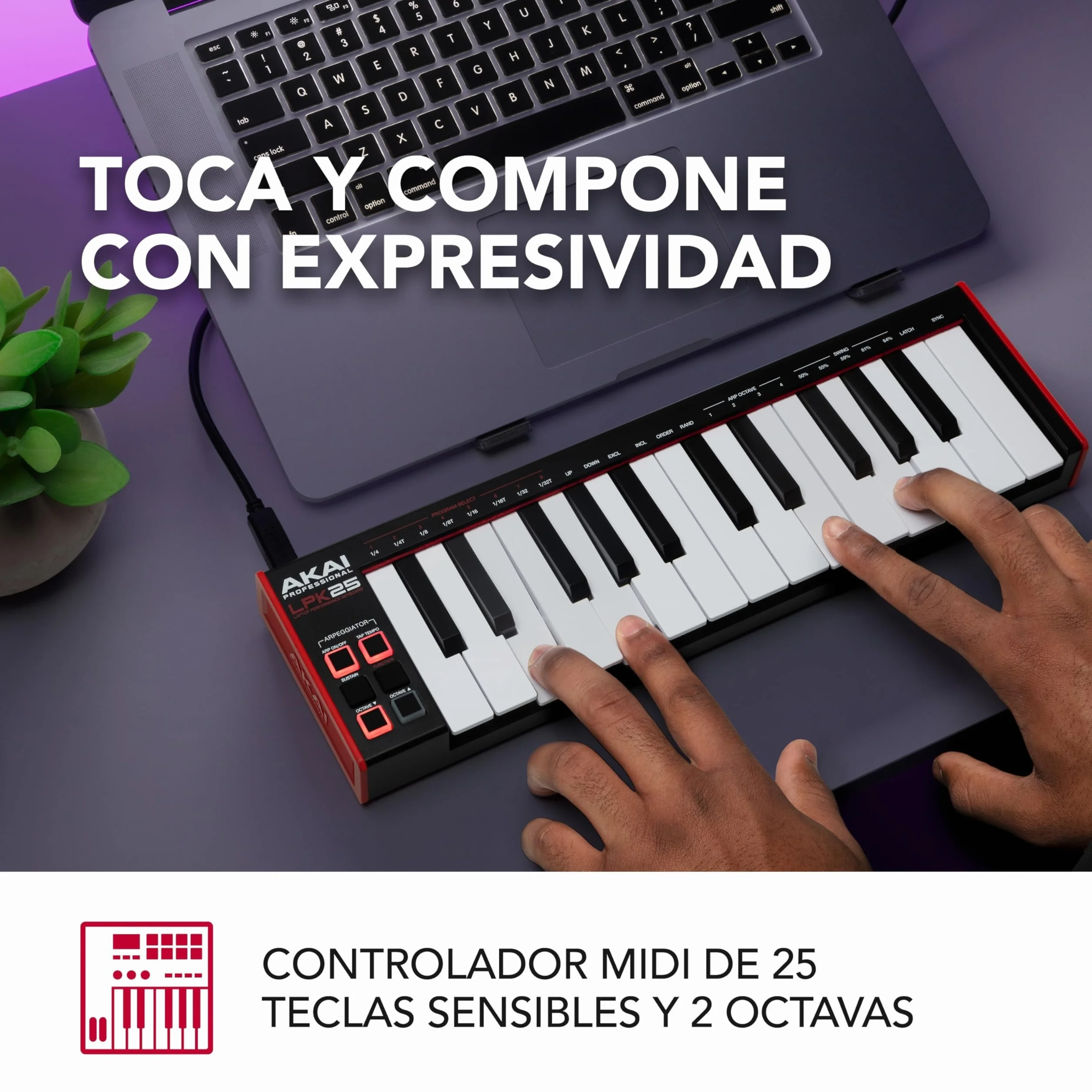 Akai Professional LPK25 MKII - Teclado Controlador MIDI USB con 25 Teclas de Sinte Sensibles para Mac y PC, Arpegiador y Software de Producción Musical