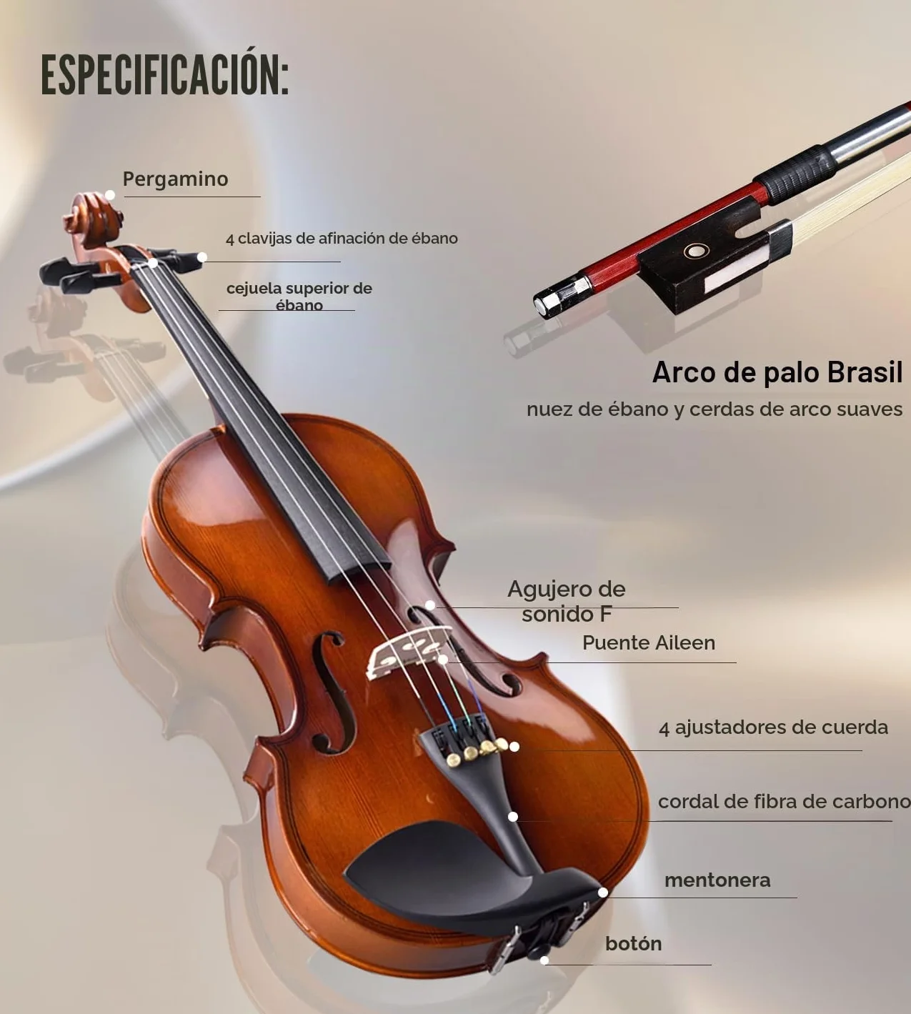 Aileen Violín Set Tamaño 4/4 para Principiantes Profesionales con Estuche Rígido, Afinador, Manual del Usuario, Cuerdas y Resina