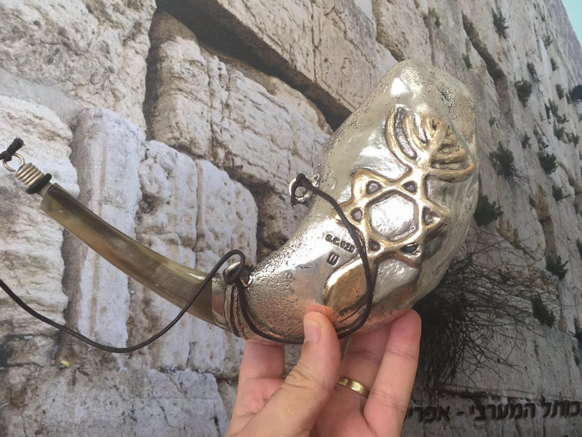 Venta Para Aceite 13 pulgadas Unción Carneros de Plata Ram Shofar Increíble Evangélica Cristiana