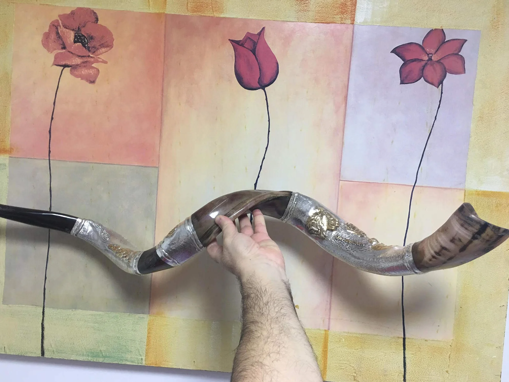 Silver - plated 44"- 45" Yemenite Horn Amazing Shofar Kudu Lion