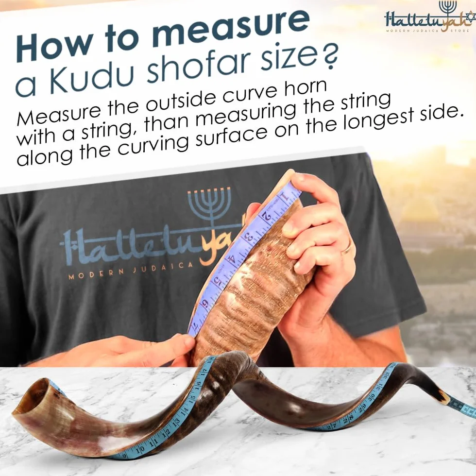 HalleluYAH Kudu Shofar original kosher medio pulido | De Israel