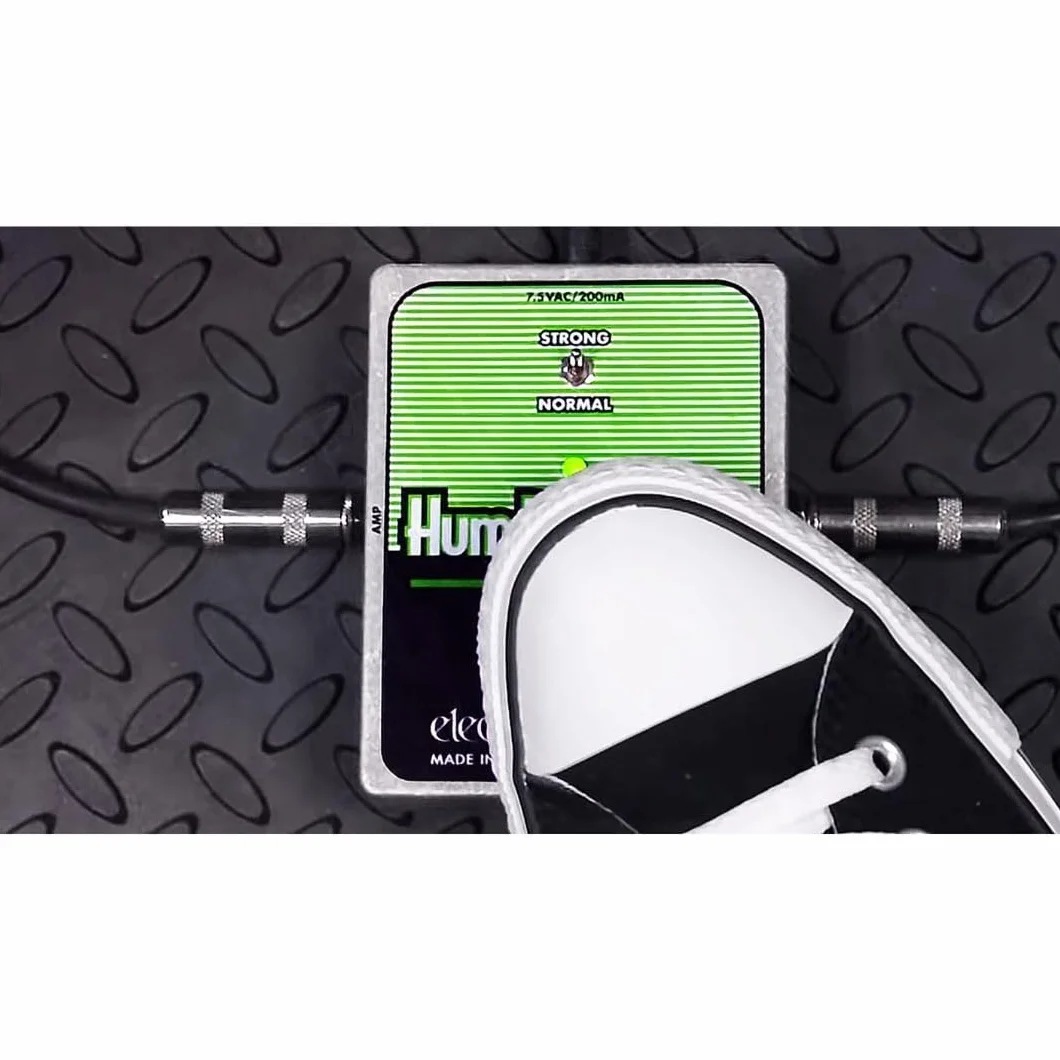 Electro Harmonix Hum Debugger