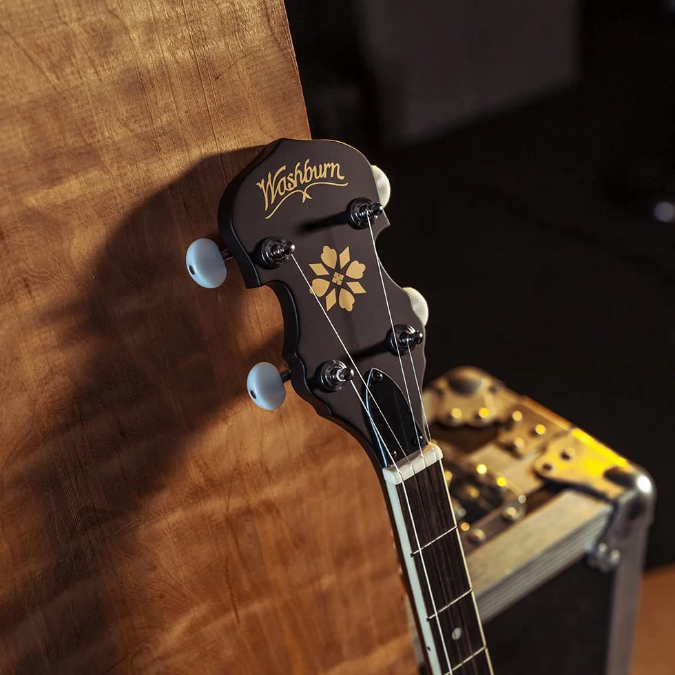 Washburn B-9 5-string Banjo - Natural