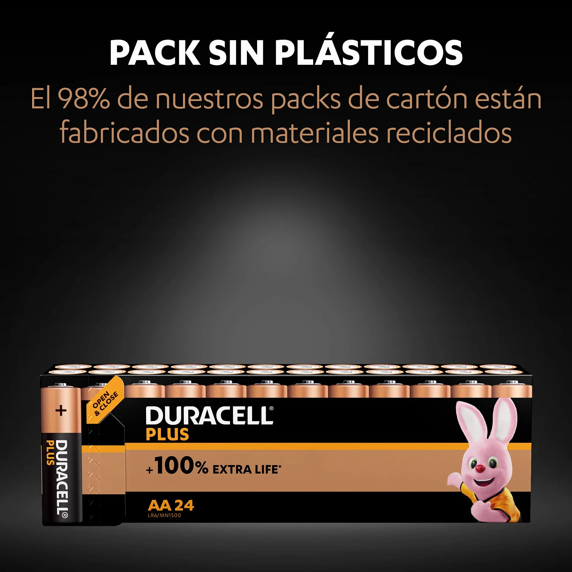 DURACELL Plus Pilas AA 1,5 V Alcalinas Paquete 24 MN1500