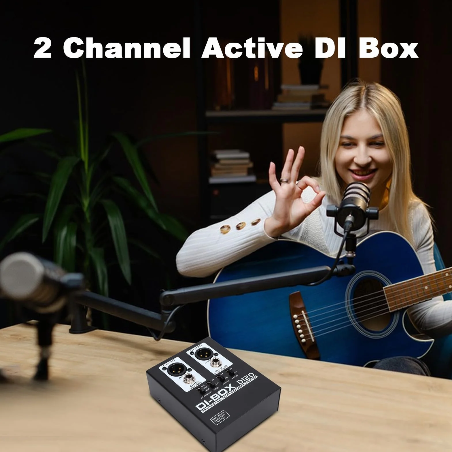 Caja DI activa de 2 canales, XLR TRS balanceada Caja directa estéreo de metal Convertidor de impedancia de señal de inyección directa Eliminador de ruido para altavoz de guitarra