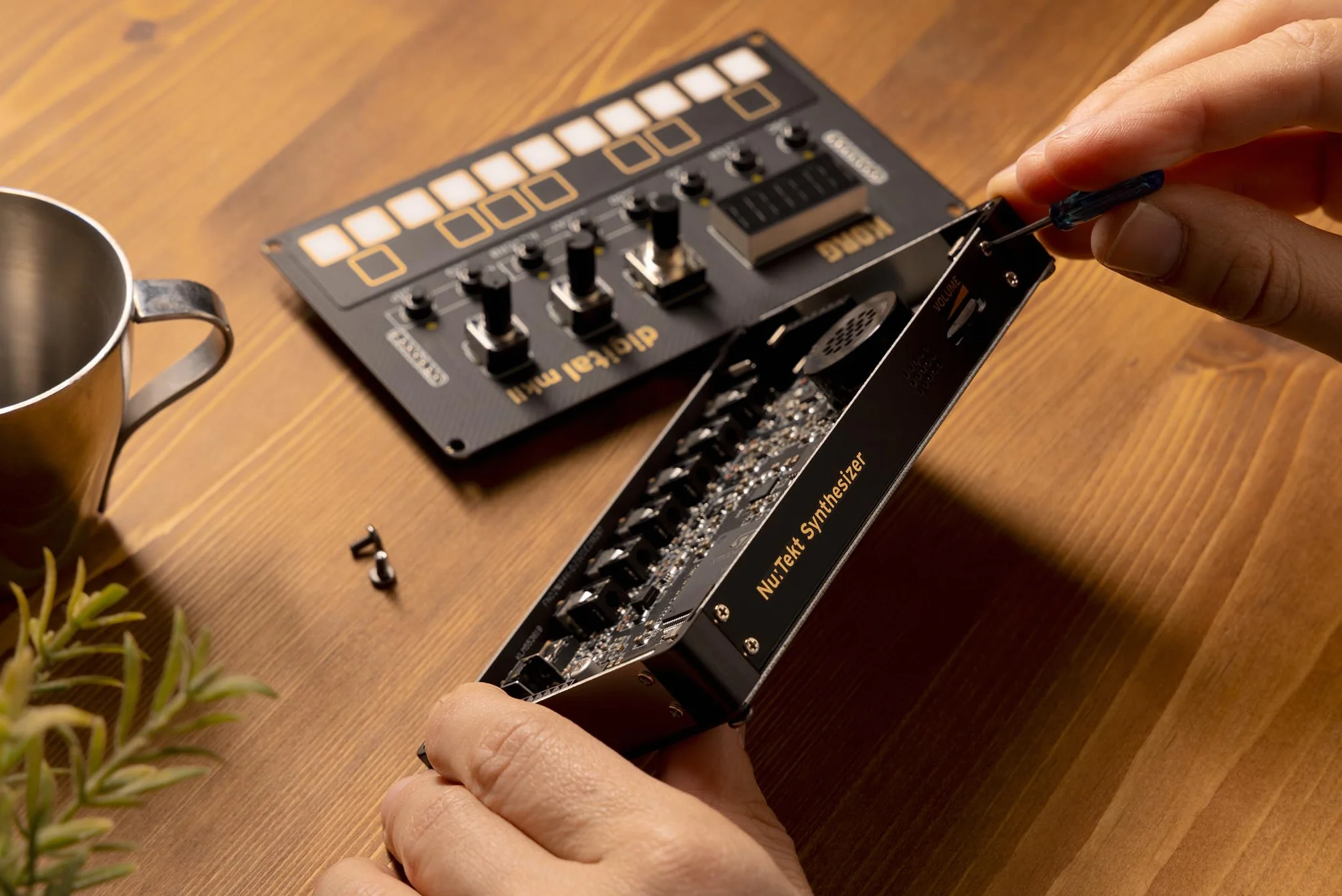 NTS-1 DIGITAL KIT MKII