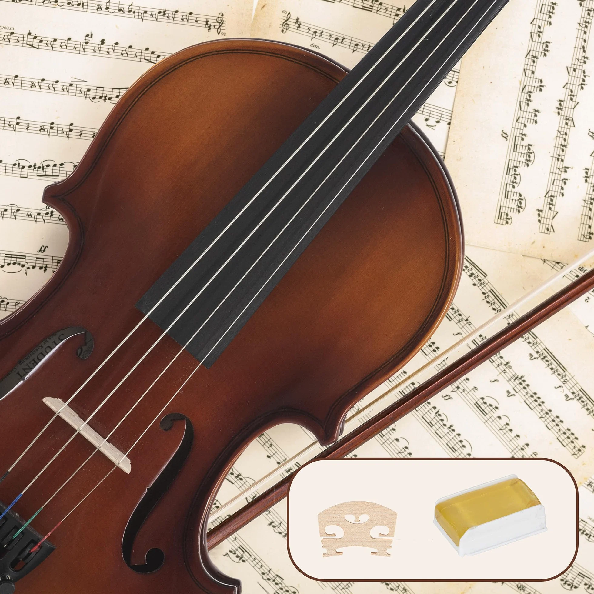 Set de Violín Classic Cantabile Student 1/2 (Instrumento para principiantes/estudiantes, violín, fondo y aros de arce, tapa maciza de abeto, puente de arce, incluye estuche, arco y colofonia)