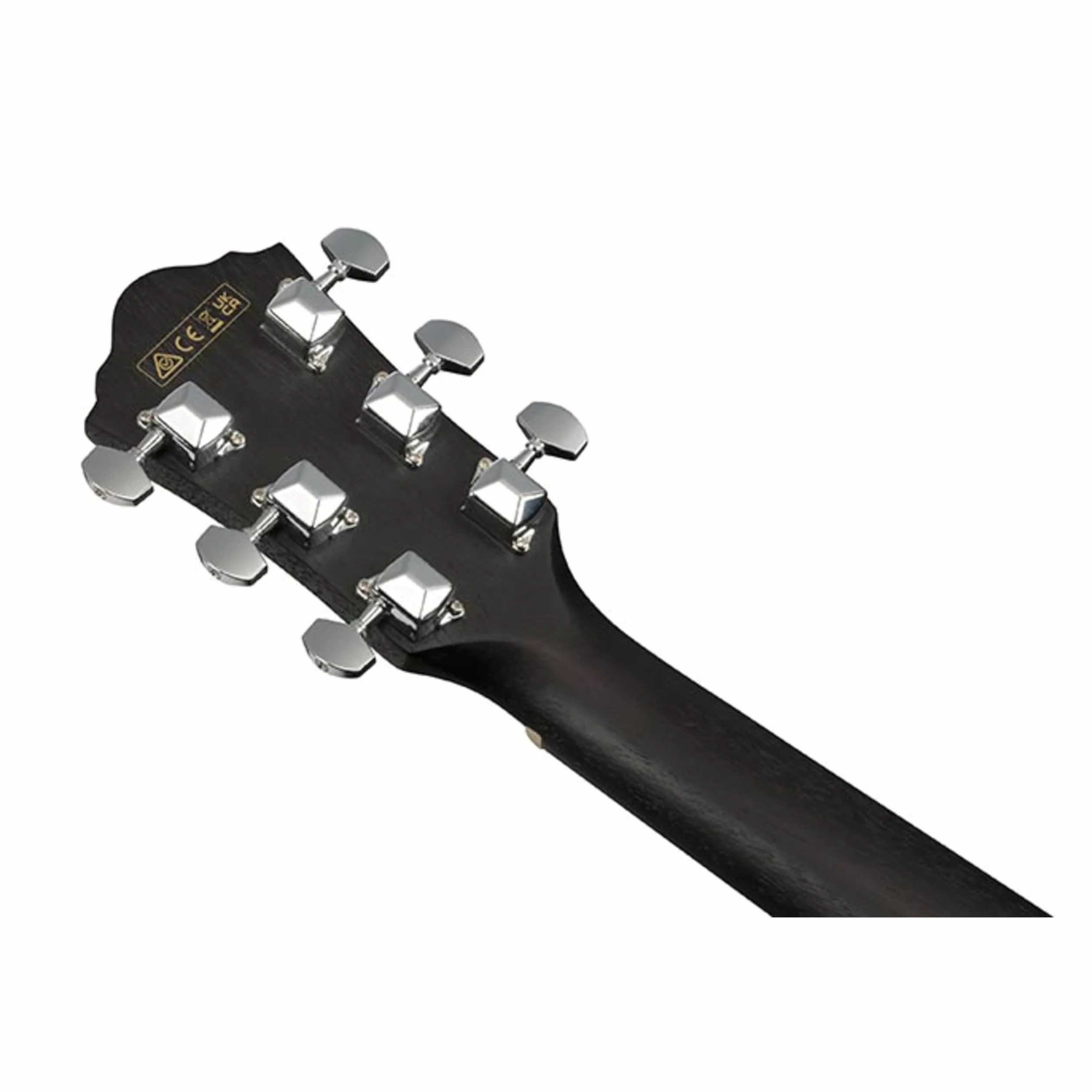 Ibanez Acoustic Guitar / VC44CEWK