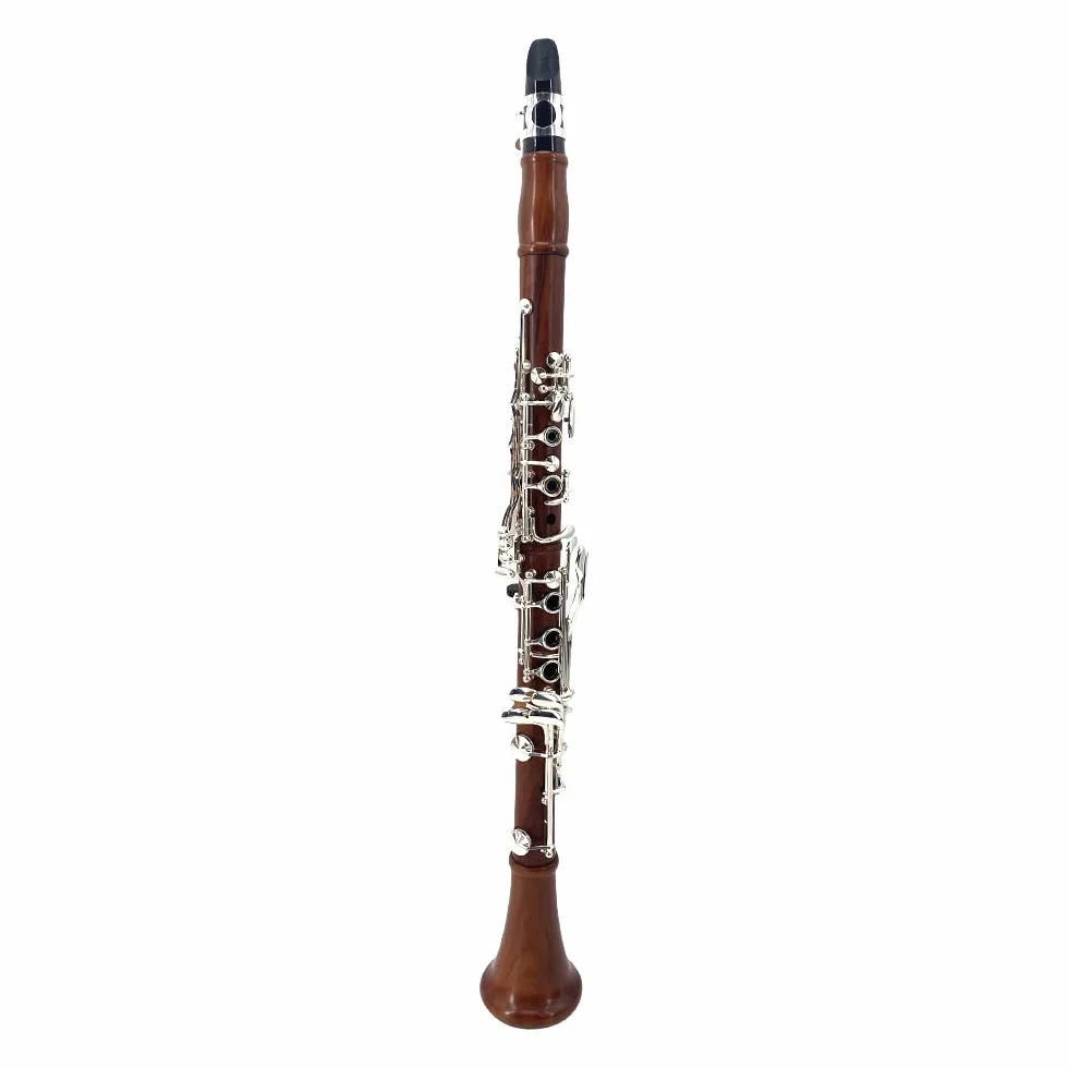 Clarinete de palisandro Bb con teclas plateadas, estuche duro y kit de cuidado con tono rico - Opción asequible para principiantes y estudiantes intermedios, óptima para entrenamiento de