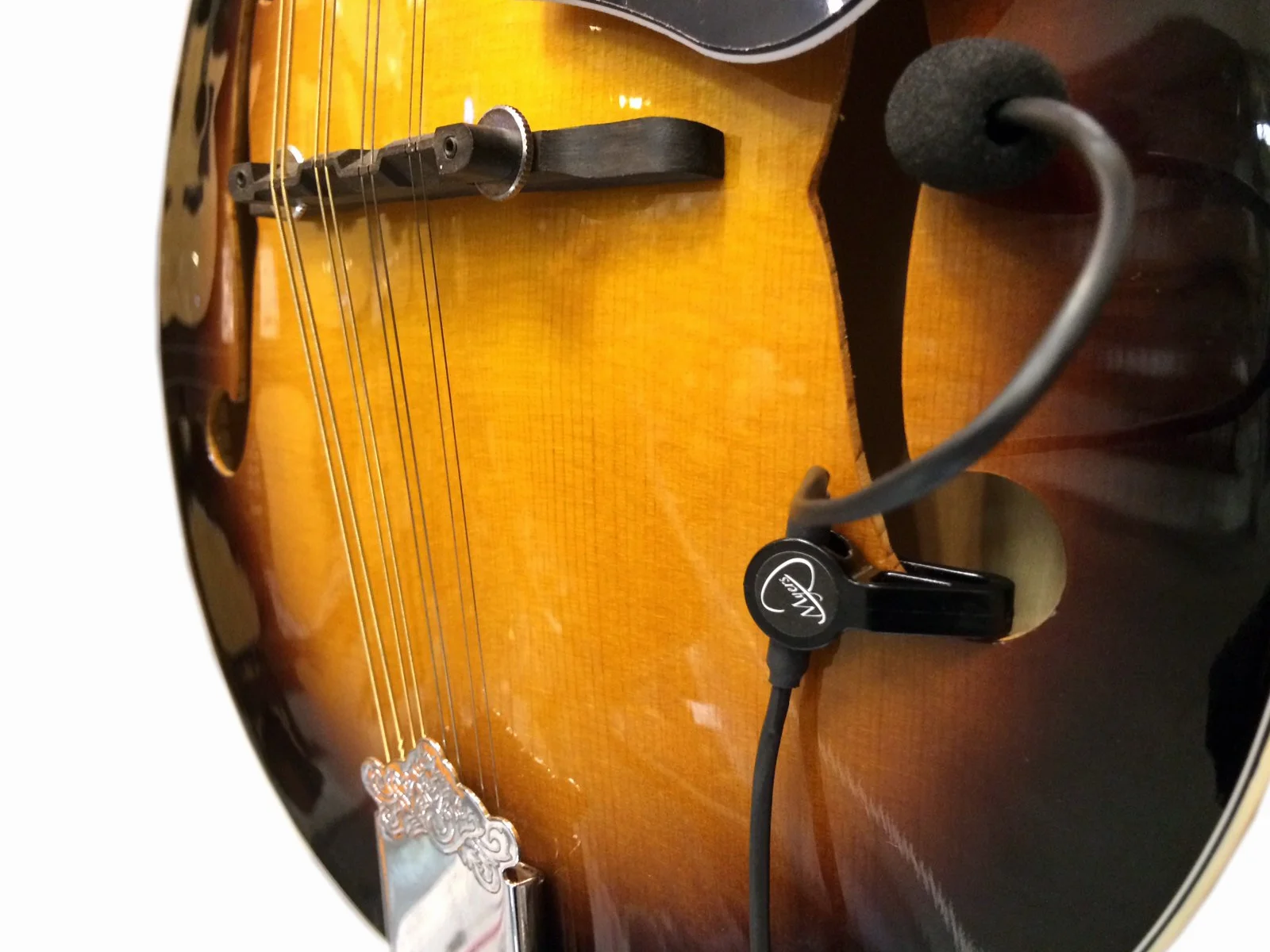 El Micrófono Feather Banjo con flexible Micro Cuello de Ganso por Myers Pickup