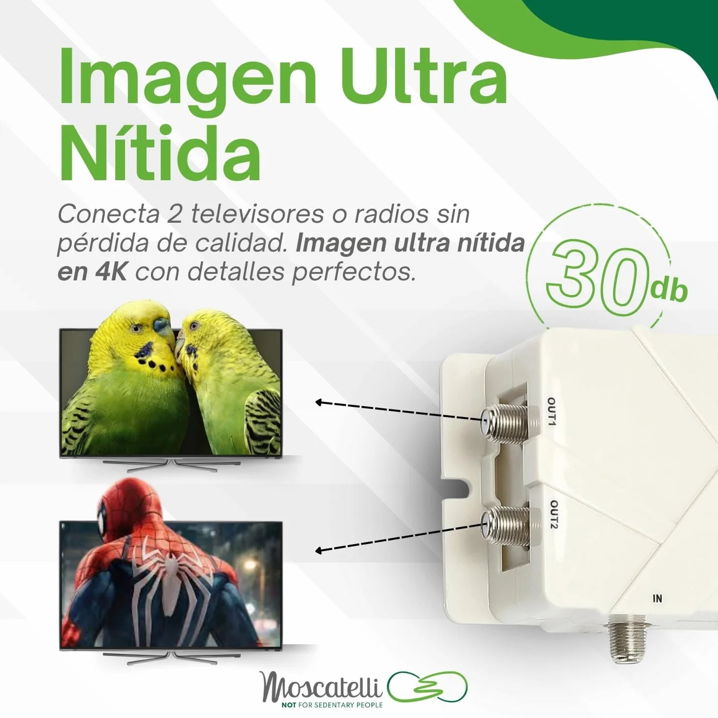 MOSCATELLI Antena TV Omnidireccional TDT DVB-T/T2 Exterior para Autocaravana - Filtro Integrado LTE 4G - 12v-24v-220v - Impermeable Kit Completo Amplificador