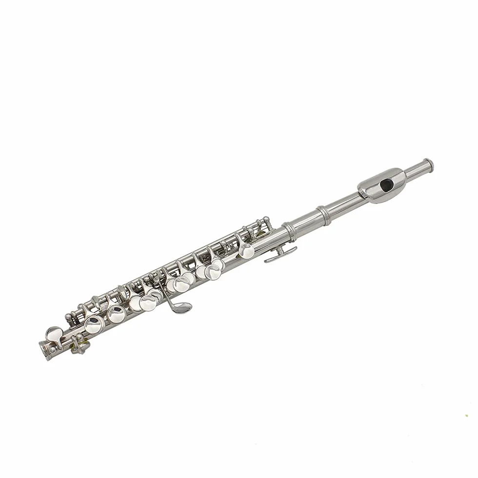 Walfront Piccolo C Desmontable Bañado en Plata con Material de Primera Calidad, Diseño Ergonómico y Varios Accesorios para Músicos en Caja de Cuero Negro (SILVER)