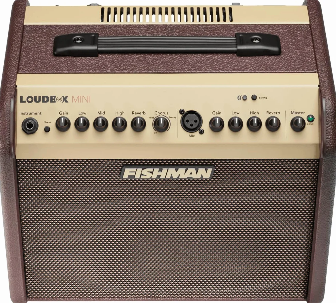 FISHMAN Verstärker Loudbox Mini, 60W, Bluetooth, 305 x 349 x 247mm, 8,90 kg