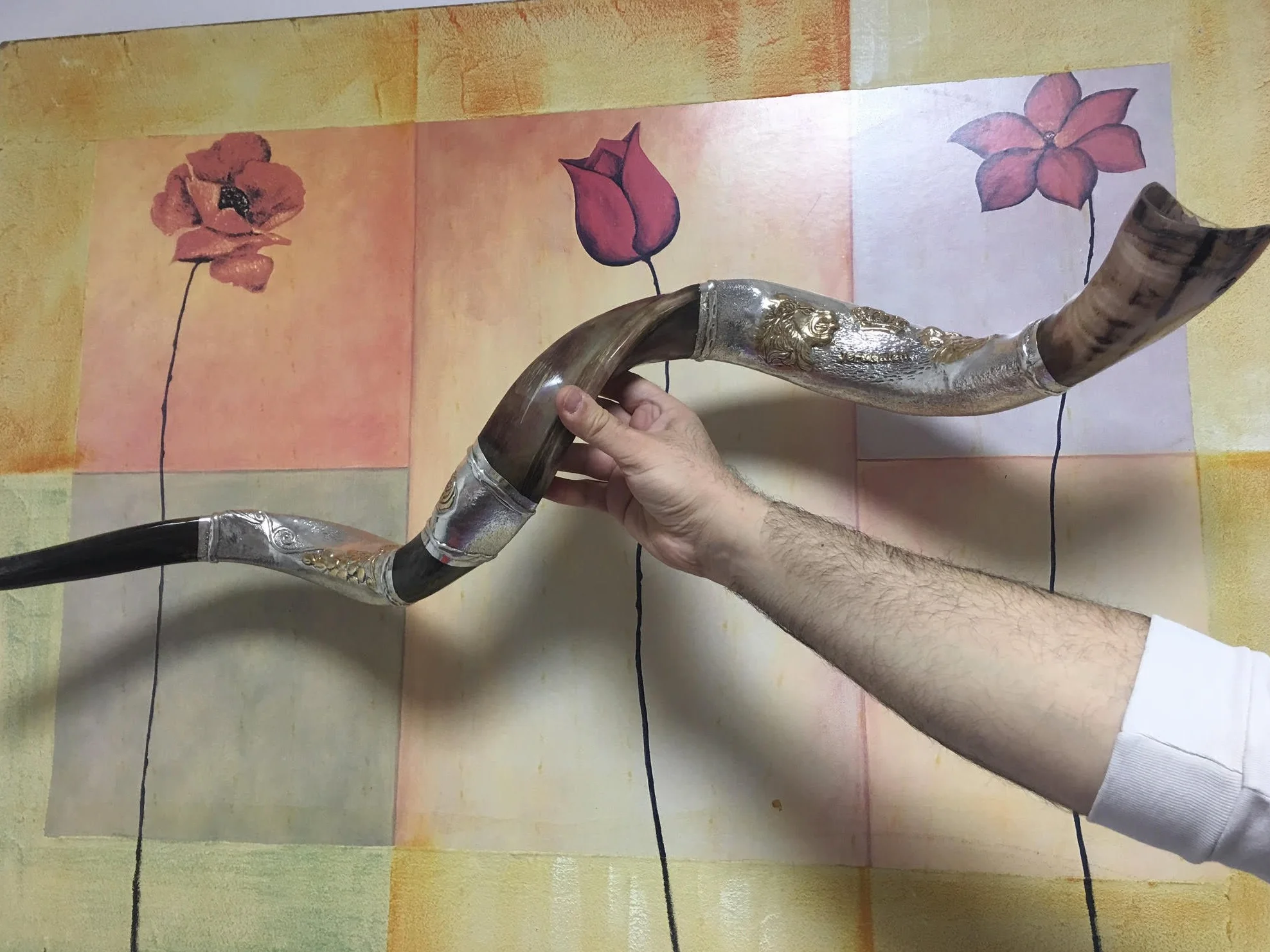 Silver - plated 44"- 45" Yemenite Horn Amazing Shofar Kudu Lion