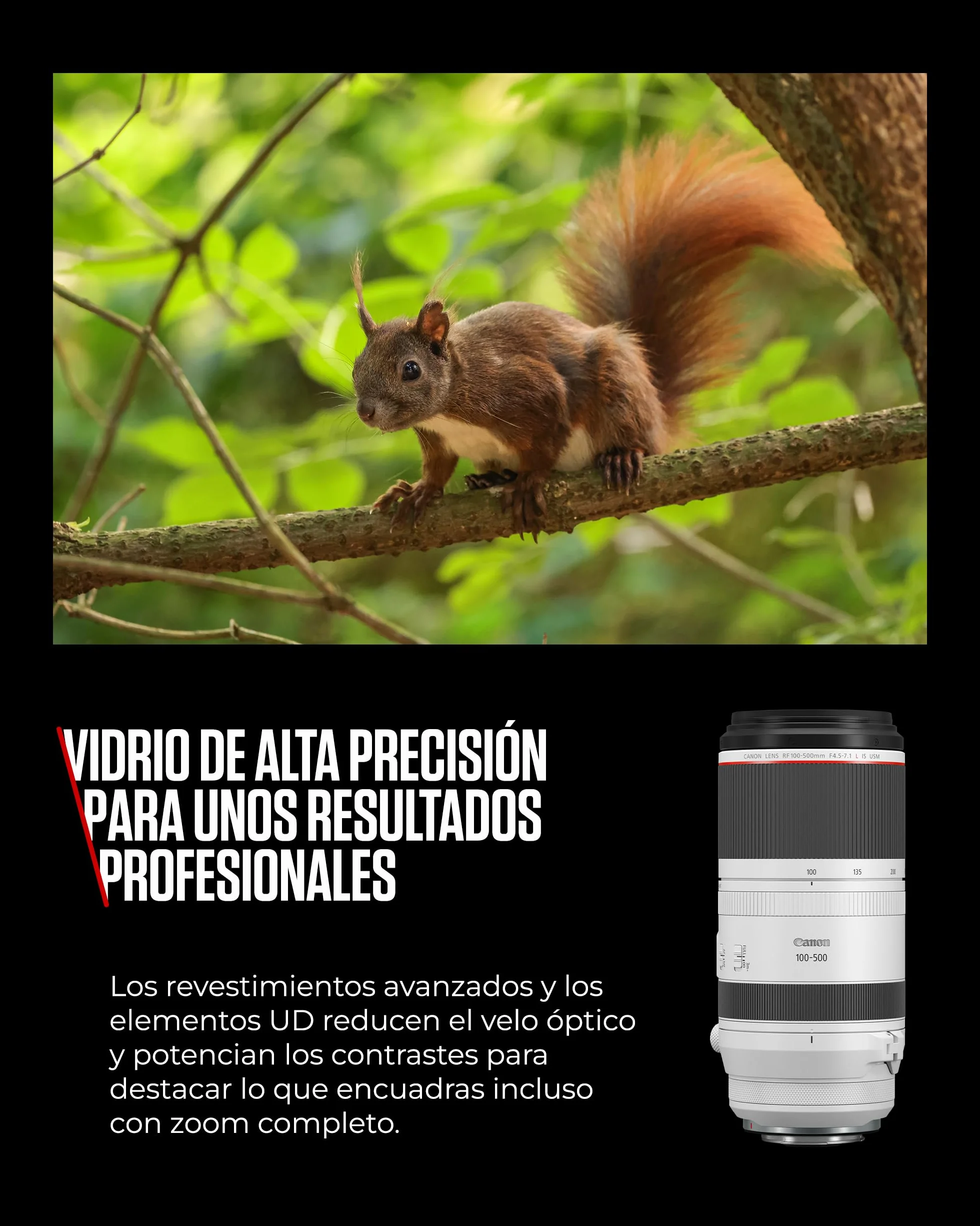 Canon Objetivo RF 100-500mm F4.5-7.1L IS USM - Lente Zoom Teleobjetivo Serie L, Ideal en Viaje y Naturaleza, Ligero, AF de Motores USM y estabilizador óptico 5 Pasos, Compatible Sistema EOS R, Negro