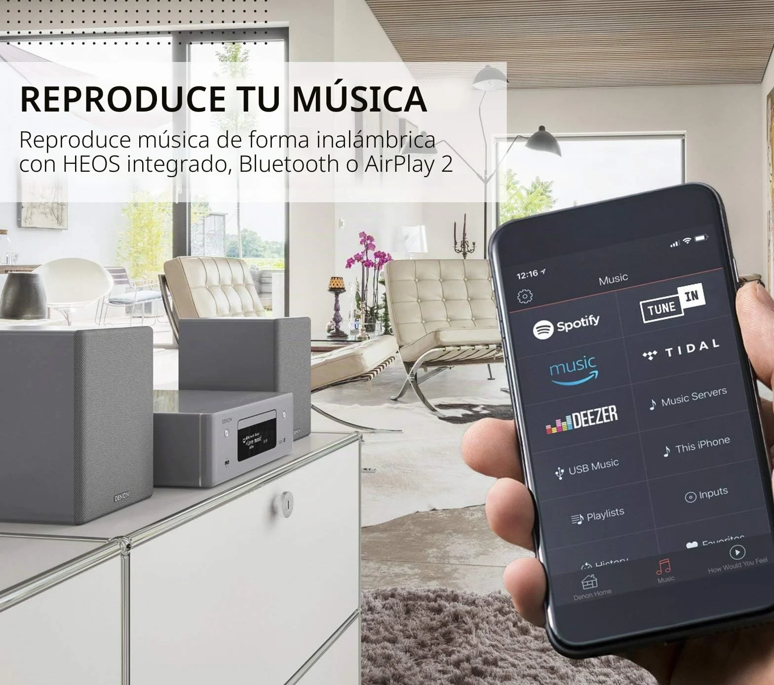 DENON Microcadena con conexión en Red Negro