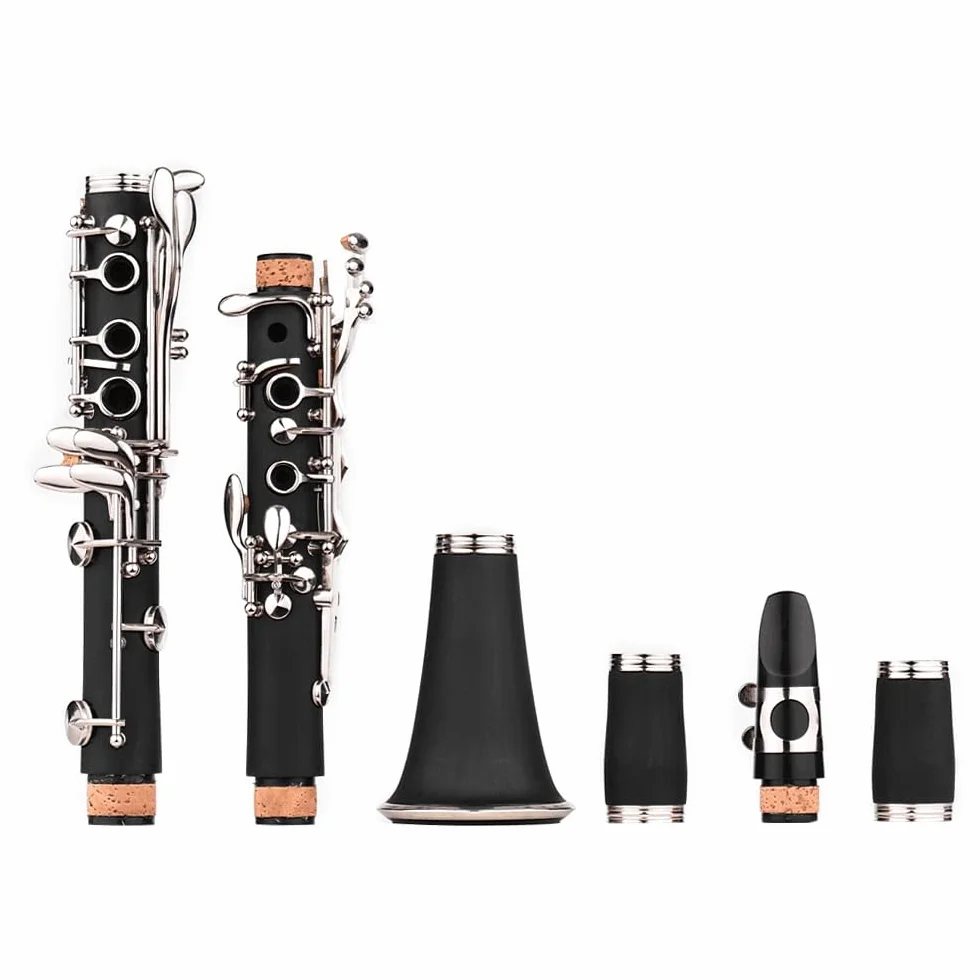 Clarinete ABS 17 llaves bB, clarinete binocular plano de soprano, incluye paños de limpieza y guantes, 10 cañas con estuche, destornillador, instrumento de viento de madera