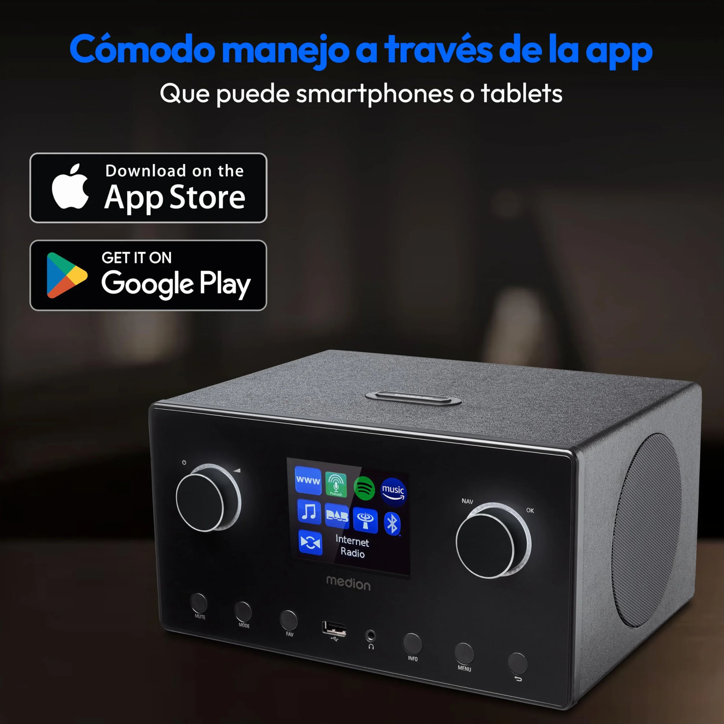 MEDION P85444 Radio por Internet 2.1 con Subwoofer (Dab+, Radio FM, Spotify Connect, WiFi, Bluetooth, Streaming, Ecualizador, Pantalla de visualización, USB, AUX, Despertador