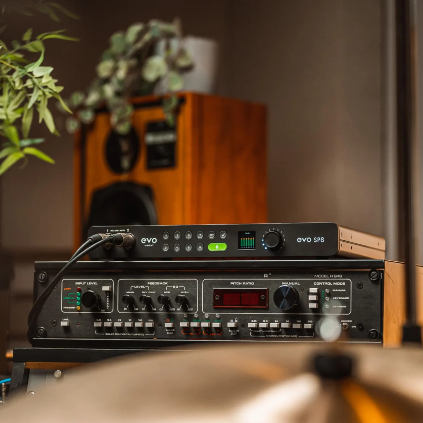 Audient EVO SP8, expansor de preamplificadores de estudio, ocho preamplificadores EVO, 8 preamplificadores de micrófono EVO con Smartgain, preamplificador de micrófono, negro