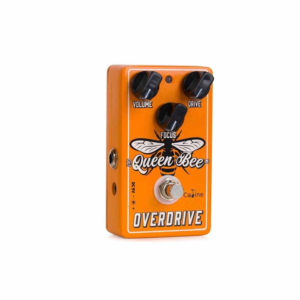 Caline CP-503 Queen Bee Overdrive Pedal