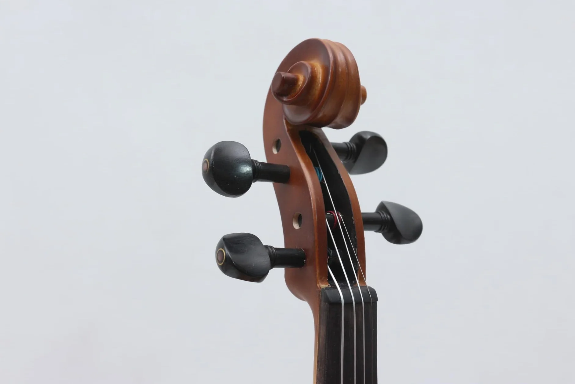 Generic - Viola negra de 16 pulgadas (16 pulgadas), color negro, madera de abeto, accesorios de ébano, con lazo para viola (café)