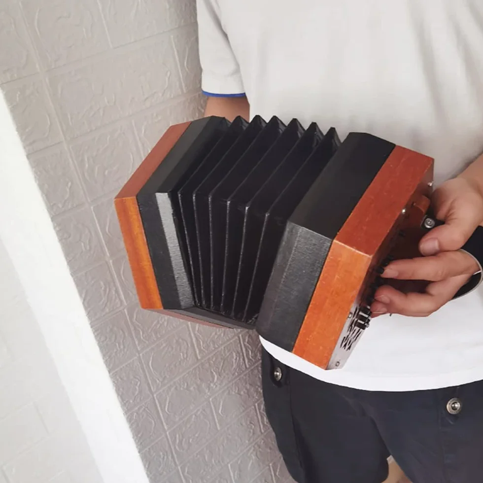 Concertina De Acordeón De 30 Botones, Sonido Más Suave Y Fascinante, Instrumento De Teclado De Nivel Básico, Excelente Regalo For Niños Amigos, con Bolsa De Transporte