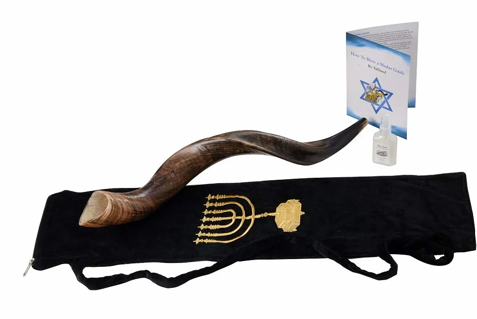 Shofar de cuerno de kudú yemení con spray antiolor gratuito, guía shofar de Israel (76-81 cm (30"-32 pulgadas)), natural)
