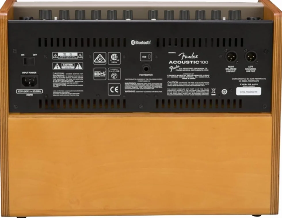 Fender Acústica 100