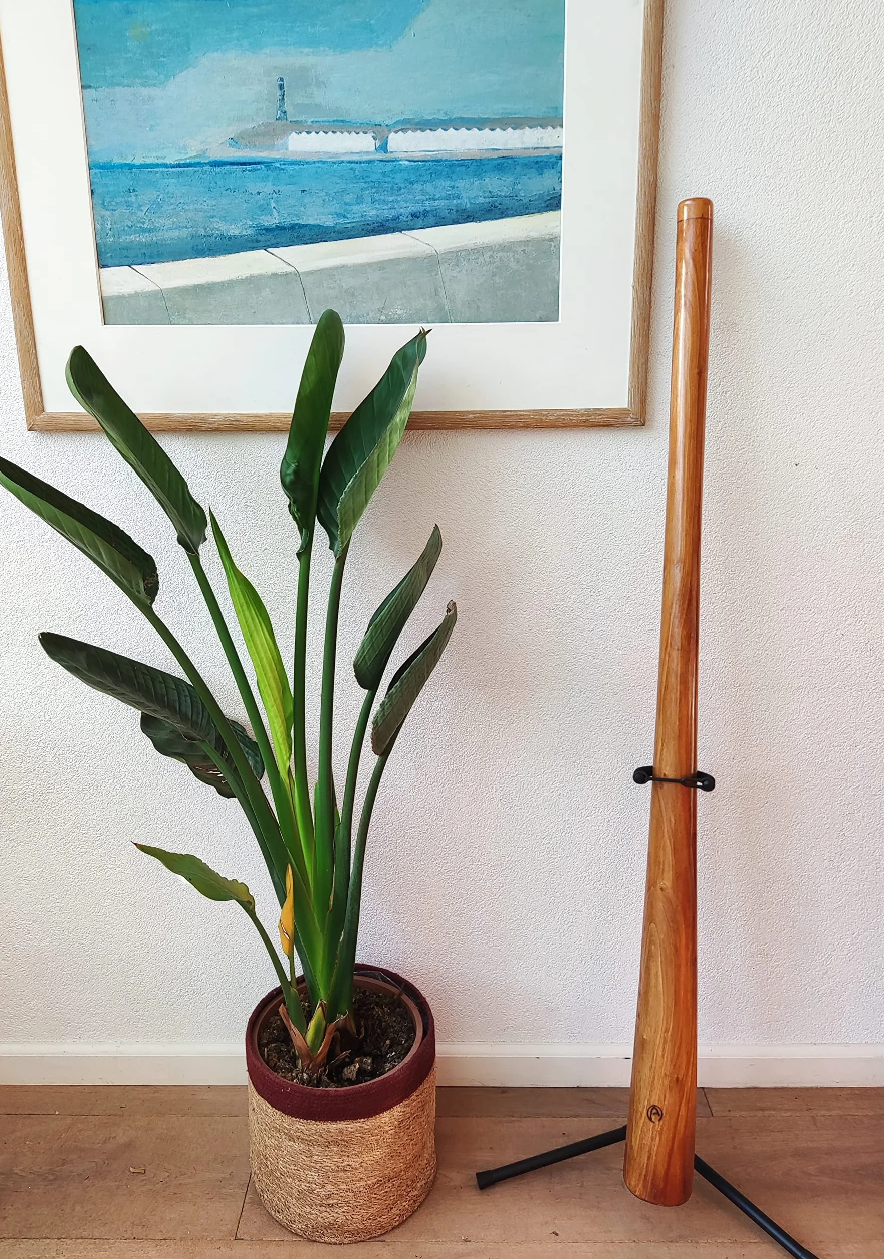DIDGERIDOO: Mogano PRO 147cm incluyendo bolsa didgeridoo de nylon
