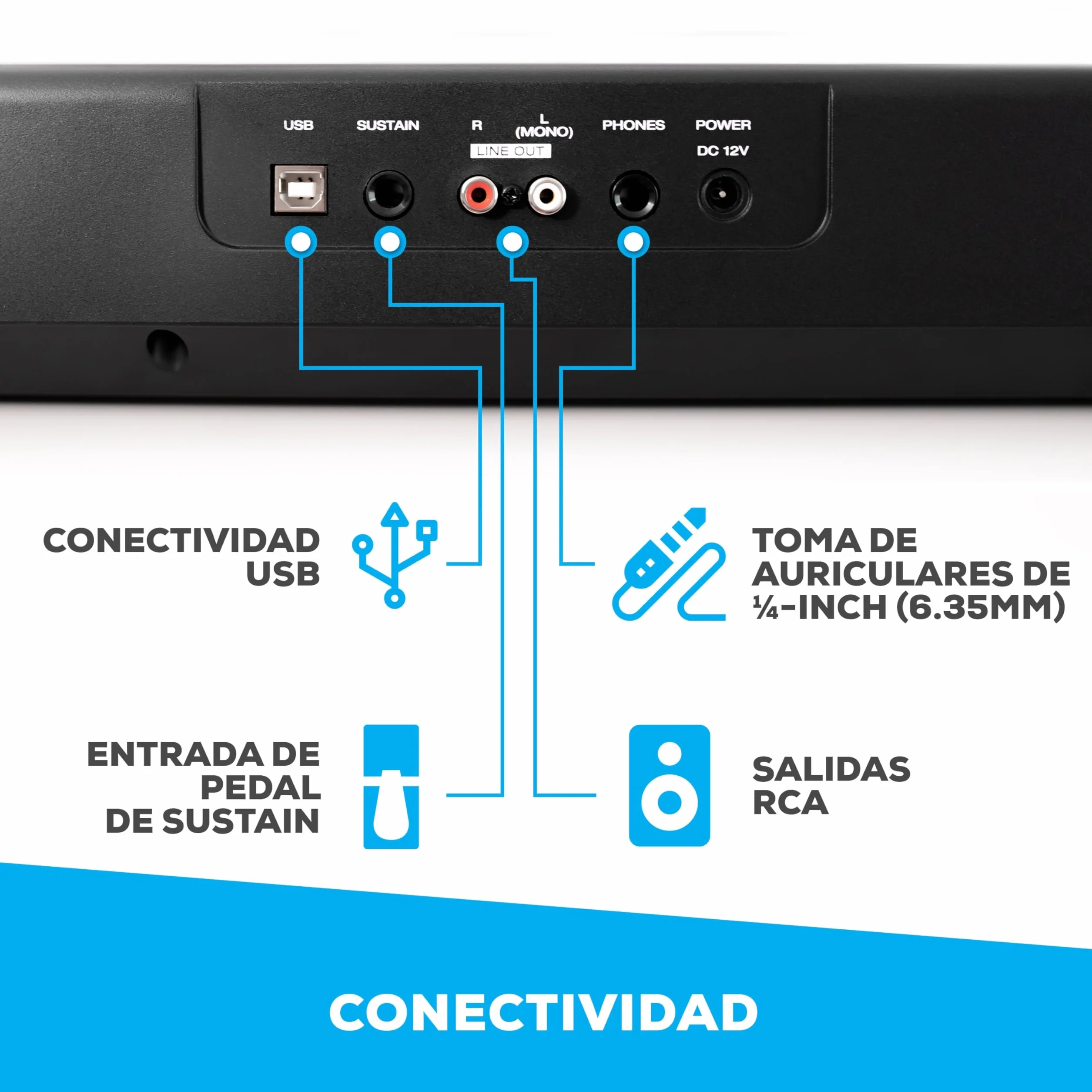 Alesis Recital Piano Eléctrico 88 Teclas Semi Contrapesadas con Altavoces, Lecciones de Piano, Metrónomo y 5 Kits de Sonidos - Negro