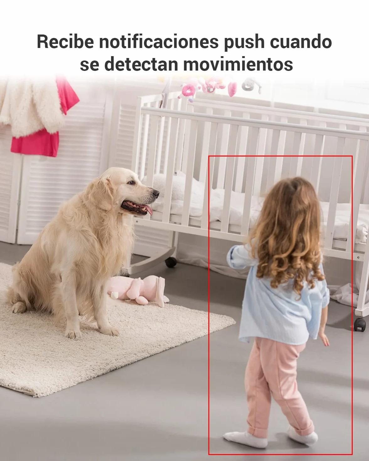 EZVIZ C6N 2-Pack Cámaras Vigilancia WiFi Interior 360º 1080P Visión Nocturna Audio Bidireccional Detección Movimiento