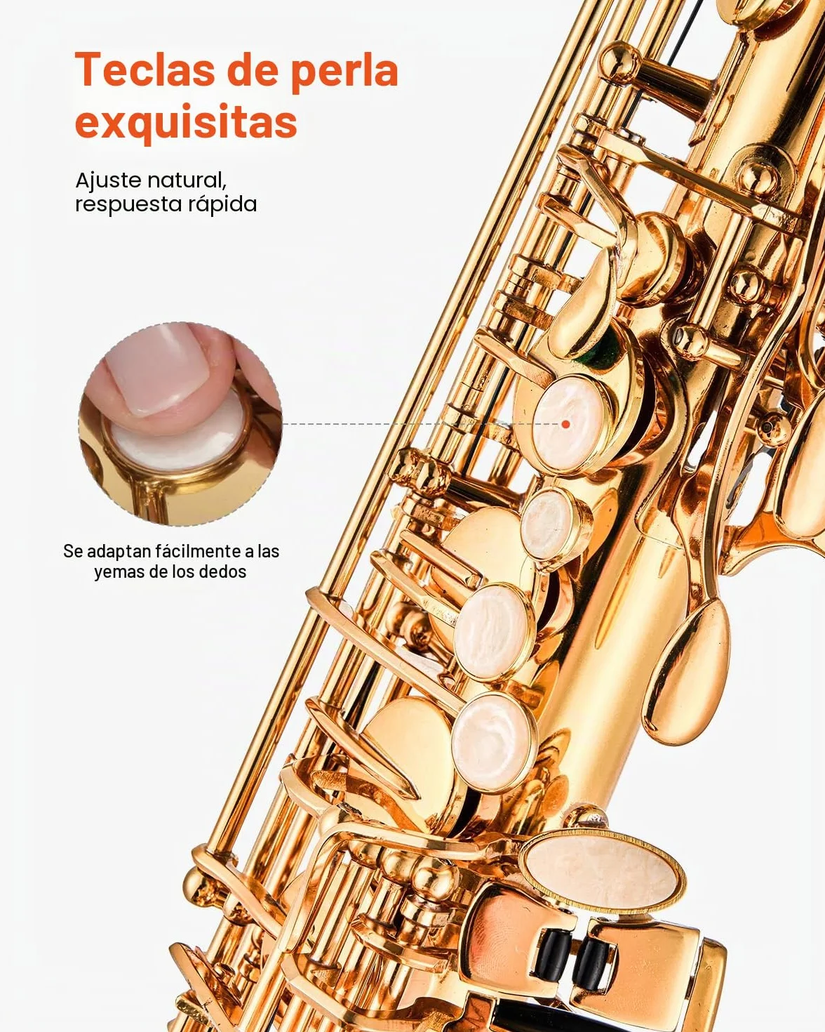 VEVOR Saxofón Alto en Mi Bemol, Juego de Saxofón Bend con Estuche, Boquilla, Correas, Paño de Limpieza, Guantes, Grasa, Correa para el Cuello, 23 Llaves para Músicos de Todos Los Niveles, Dorado