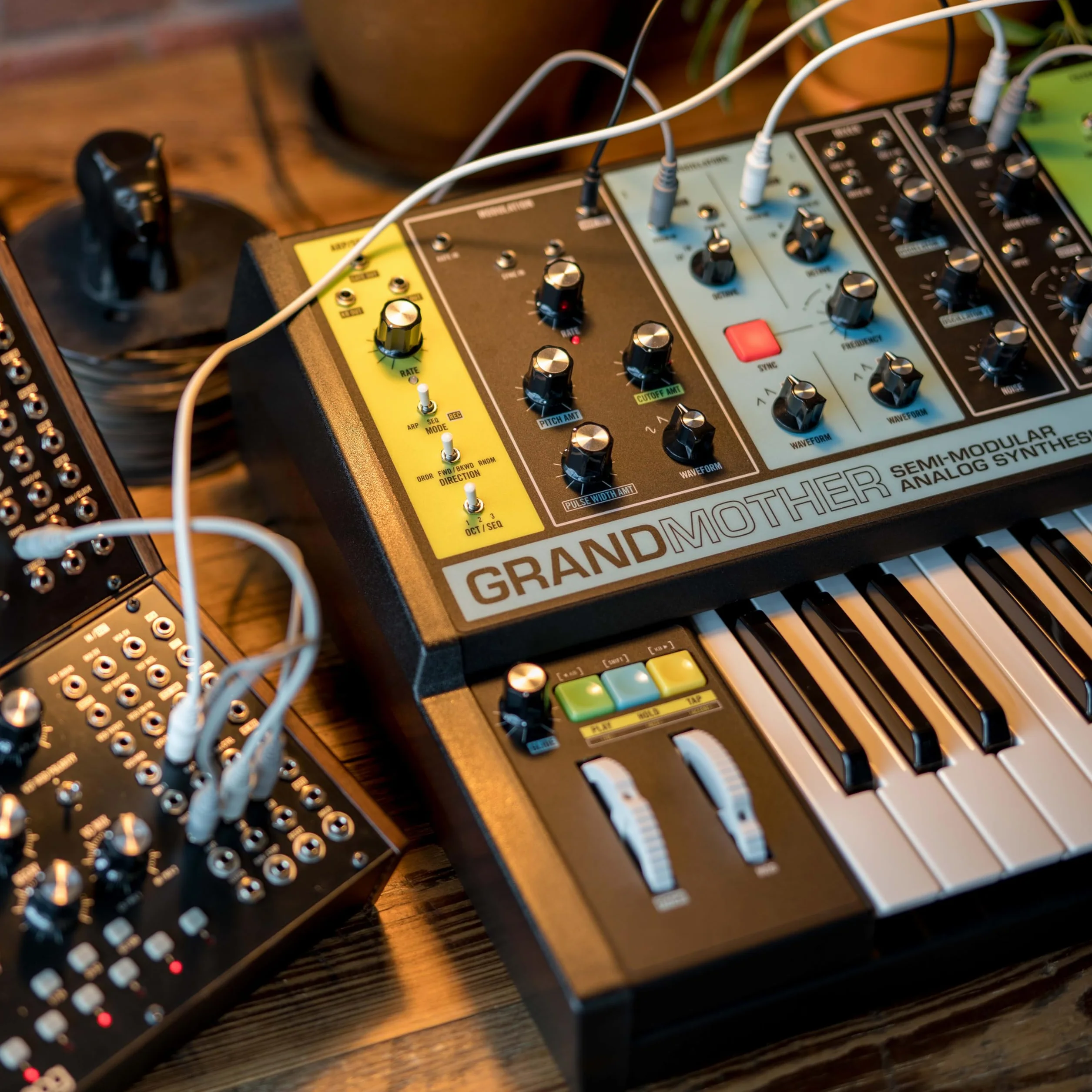 MOOG Grandmother - Sintetizador Semimodular de Teclado Analógico con 32 Teclas, Arpegiador, Secuenciador y Tanque de Reverb de Muelles Integrados