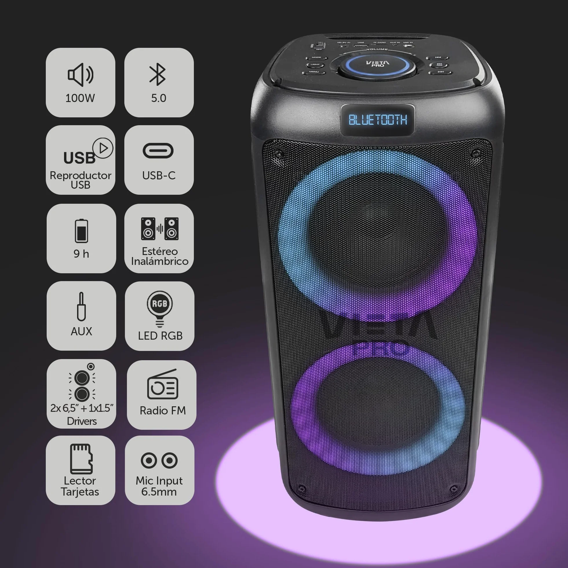 Vieta Pro | Altavoces Autoamplificados Bluetooth de 100W con Reproductor USB, Radio FM, Luces LED, Entrada de Micro y AUX-IN con batería de 9h | Altavoz Speaker Grande Party 2 para Fiestas y Karaoke