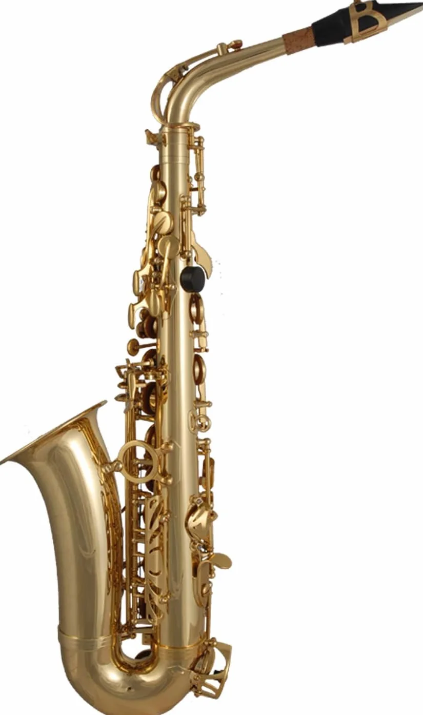 TAS-135 saxofón alto en Mi♭ completo con estuche resistente, boquilla Soundman D5, curso de saxofón “Alto Saxophone Basics” (set de inicio)