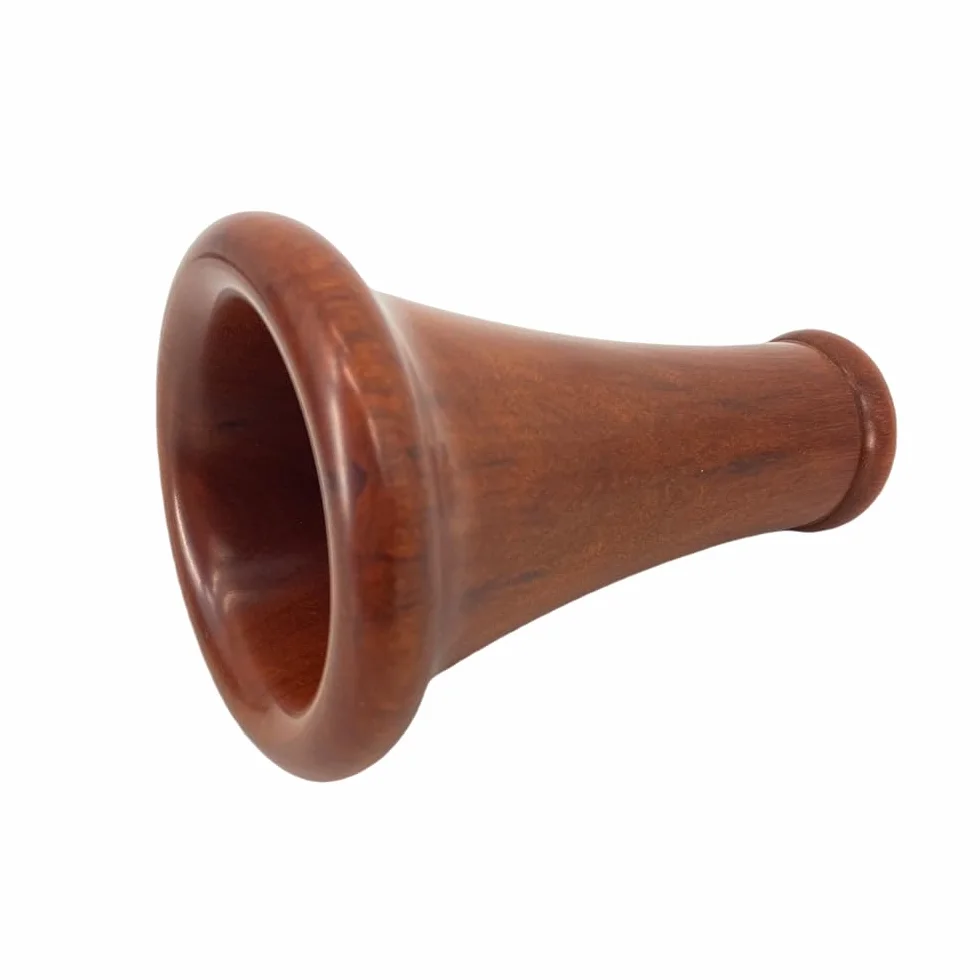 Clarinete de palisandro Bb con teclas plateadas, estuche duro y kit de cuidado con tono rico - Opción asequible para principiantes y estudiantes intermedios, óptima para entrenamiento de