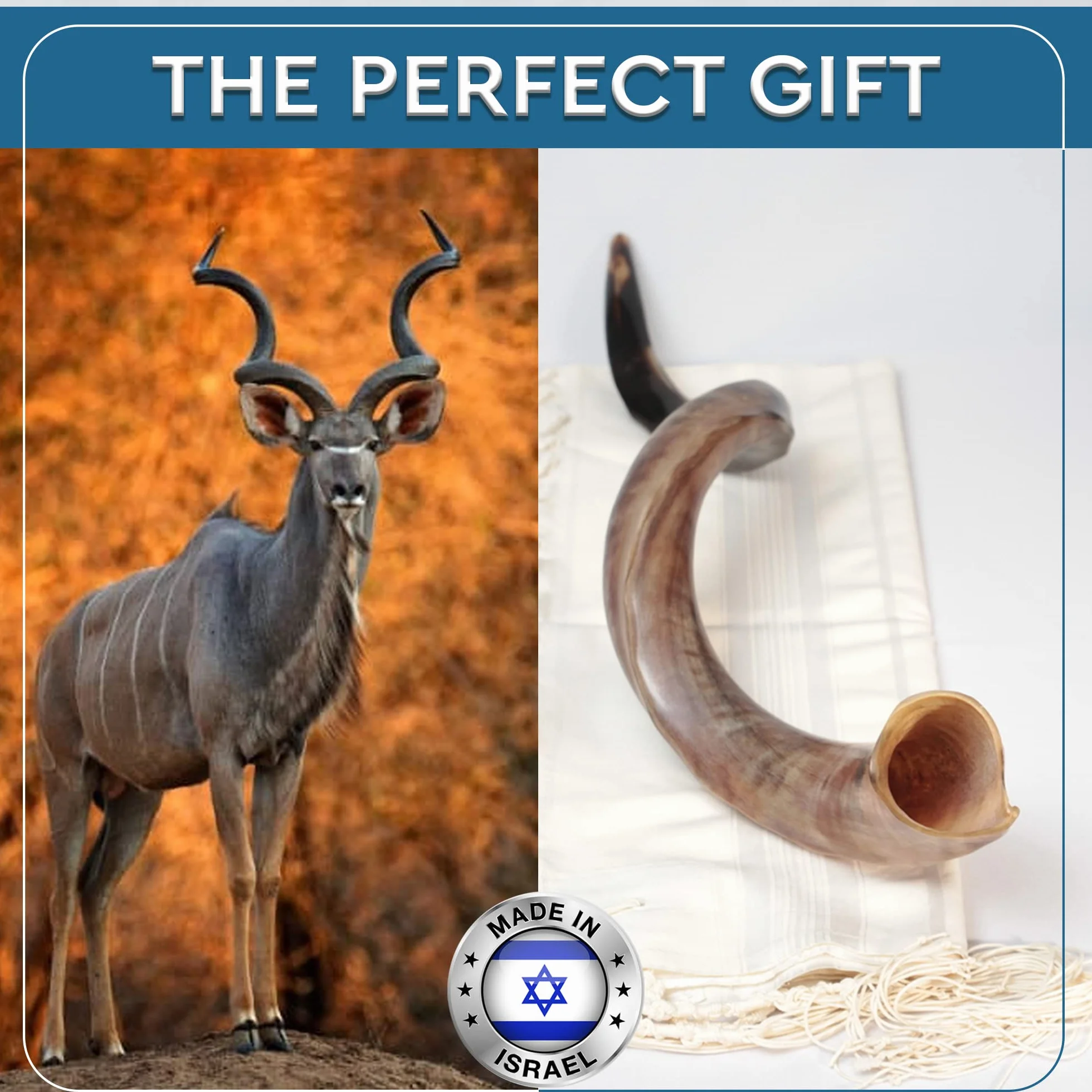 Kudu Shofar | Shofar | Kosher de Israel | 38-48 cm