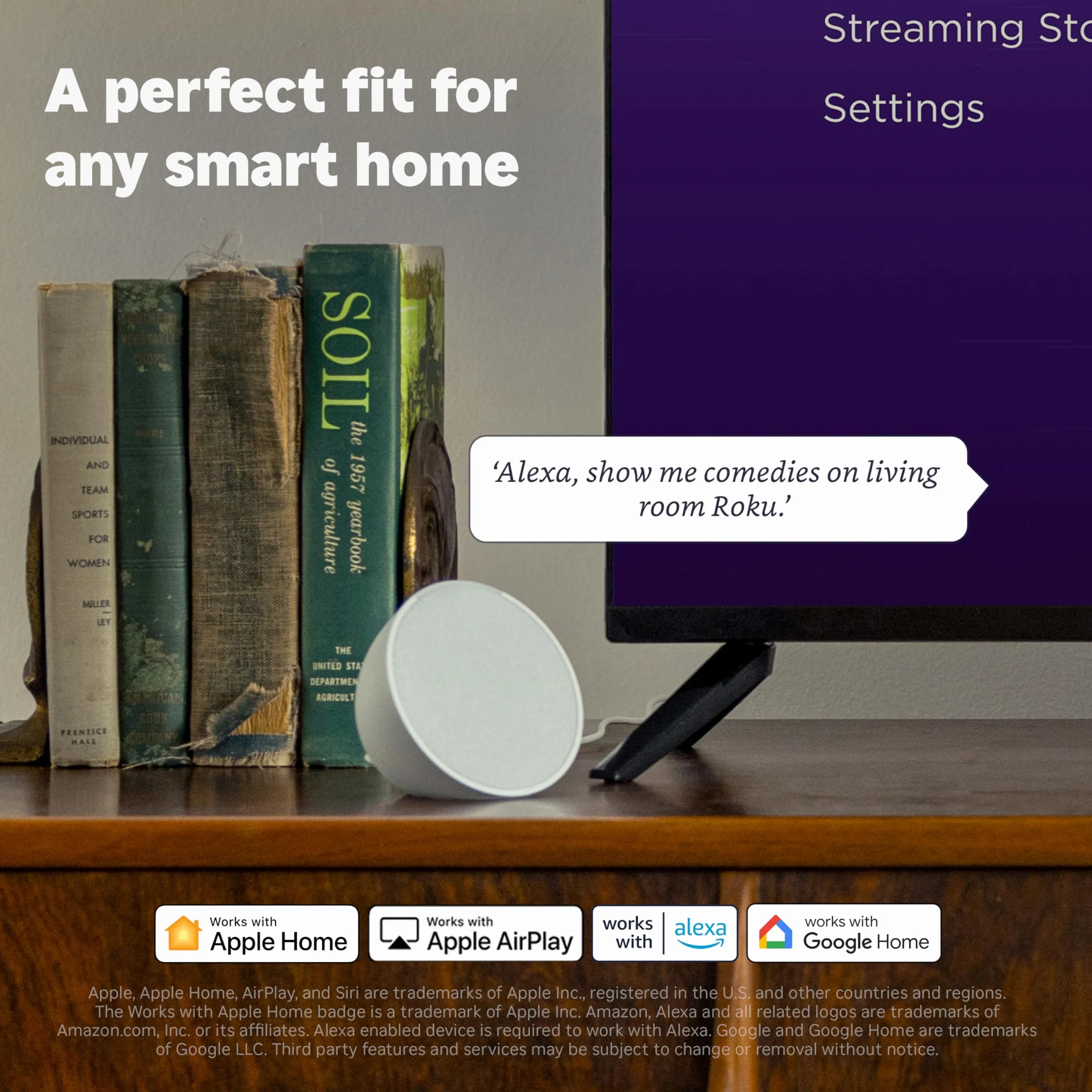 Roku Streaming Stick 2025 - Dispositivo de transmisión HD para TV con Control Remoto por Voz - TV Gratis y en Vivo