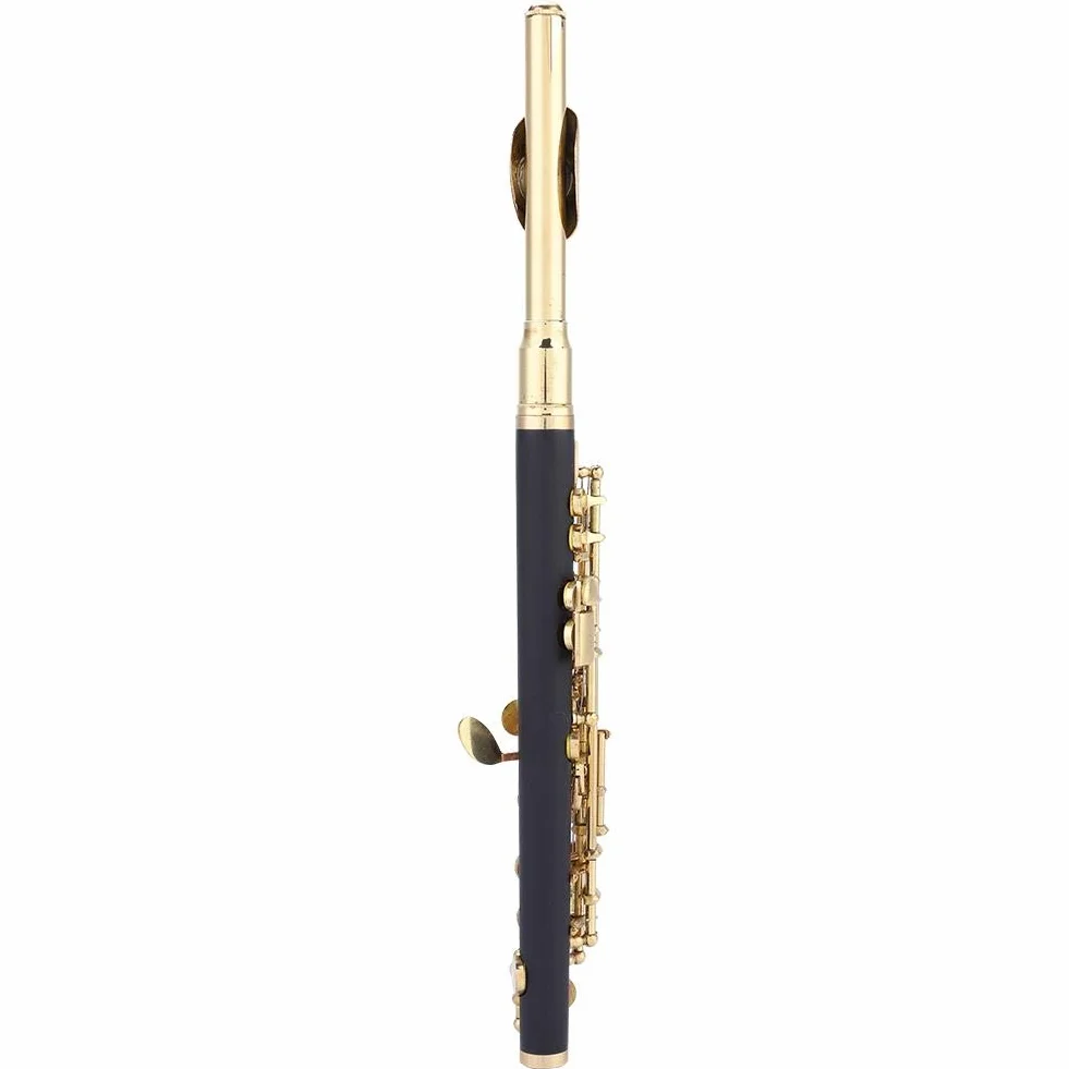 flautin piccolo C, Huairdum Conjunto de flautín, con Caja Acolchada Flauta de tamaño Medio, para niños y Adultos Principiantes y músicos(Golden)